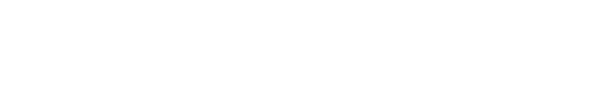 Text graphic saying 'VISIT FLORIDA' with 'VISIT' in smaller font above a line and 'FLORIDA' in large font.