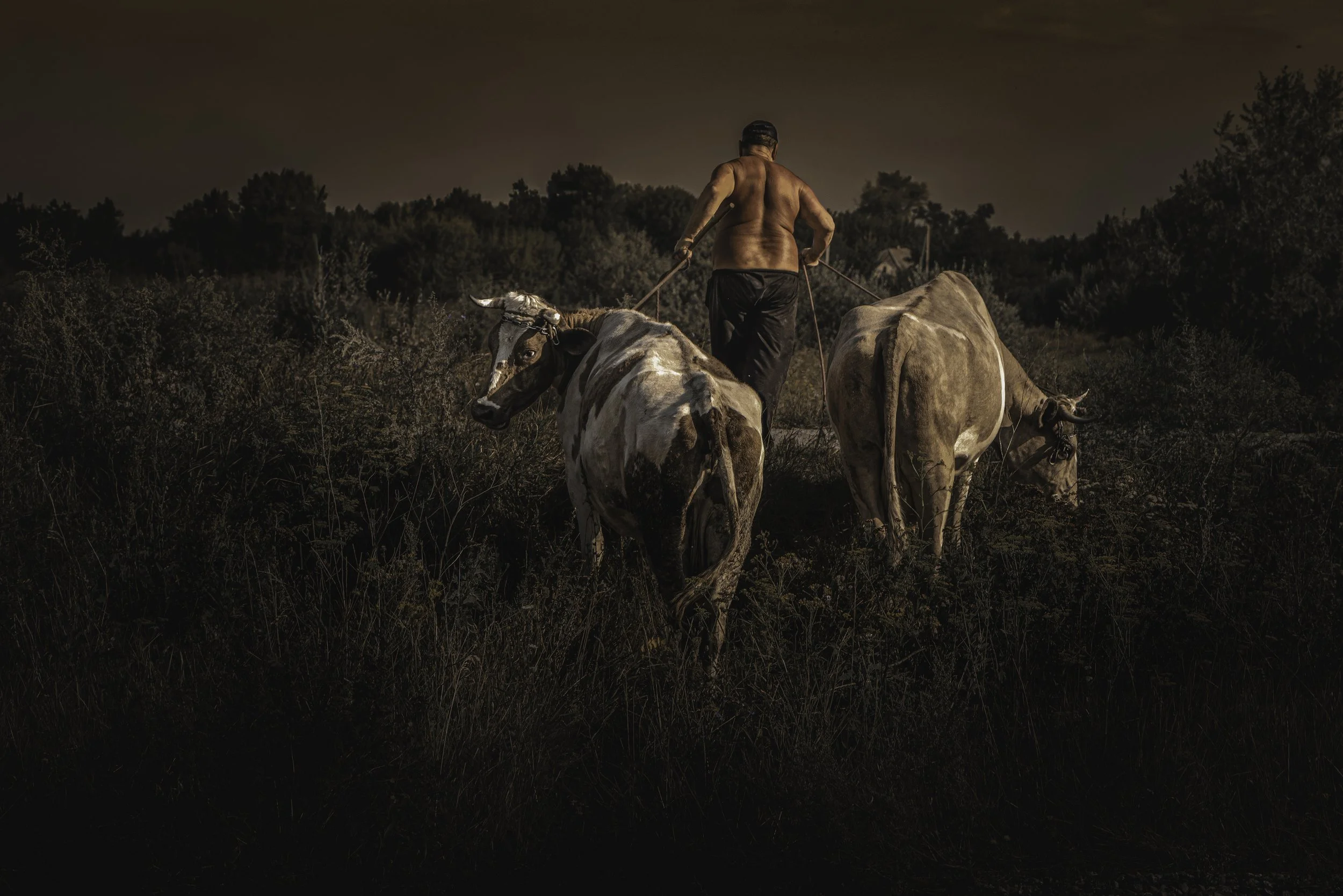 0J7A0427-2-Edit-2.jpg