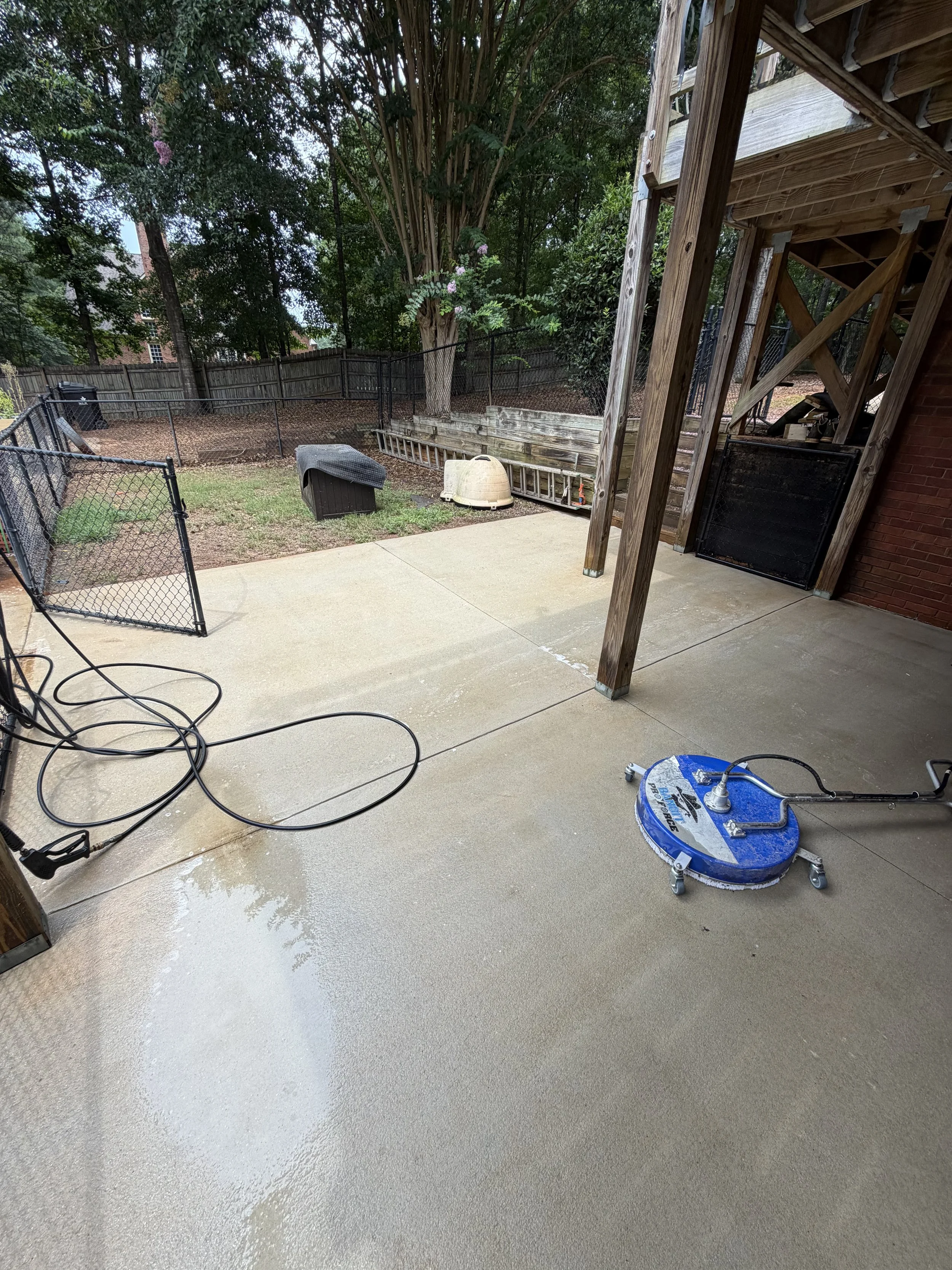 IMG_8742.jpeg