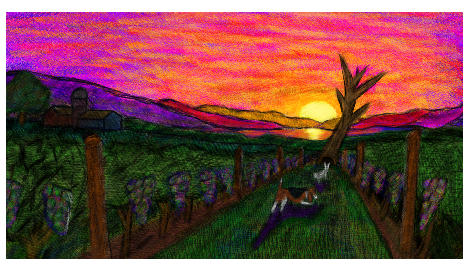 Chasing rabbits