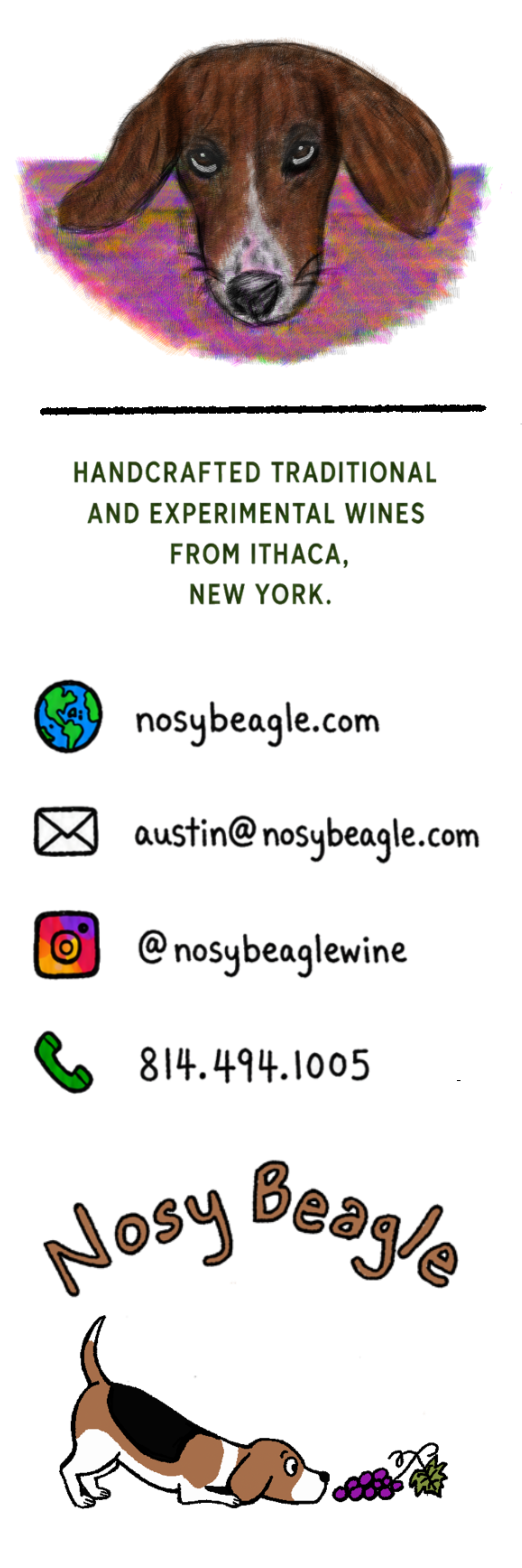 Hand-drawn illustration of a beagle dog lying on the floor next to a small bunch of grapes and leaves, with the words 'Nosy Beagle' written above in playful brown lettering.