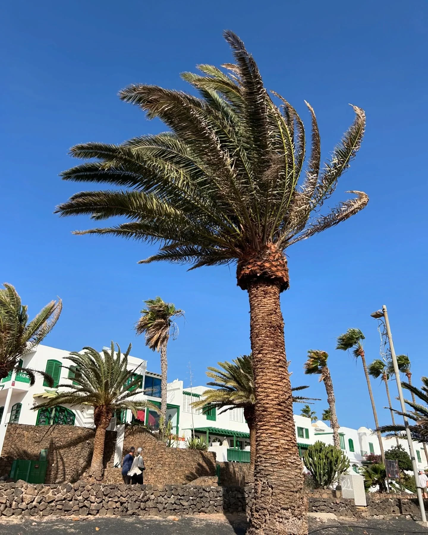 Lanzarote 24&rsquo; 🏝️☀️ #upandcomingrapper #uk #ukrapper #producer #producertok #producergrind #smallartist #singer #spain #soundcloudrapper