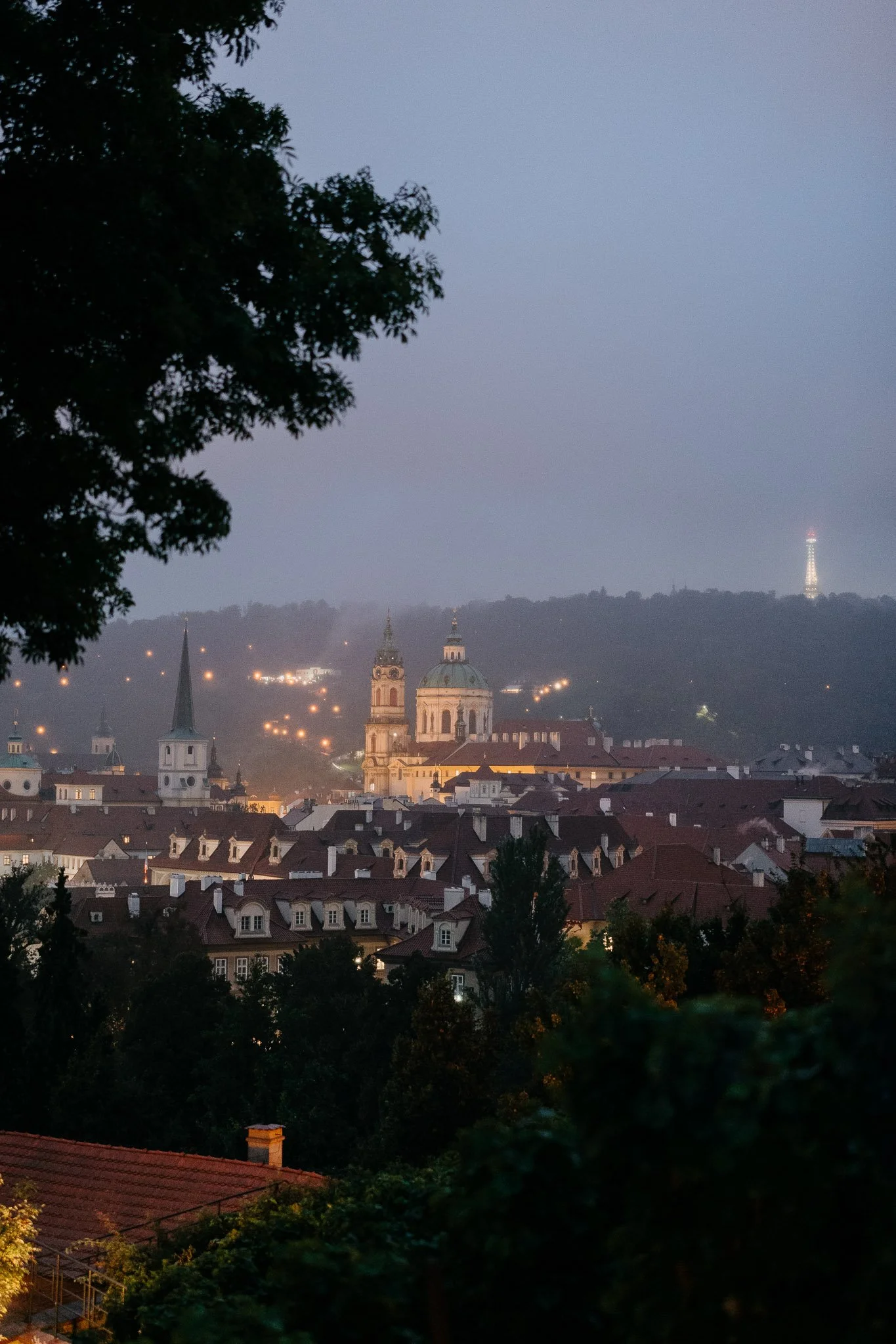 Marie-Fernando - svatba 2025-villa-richter-529.jpg