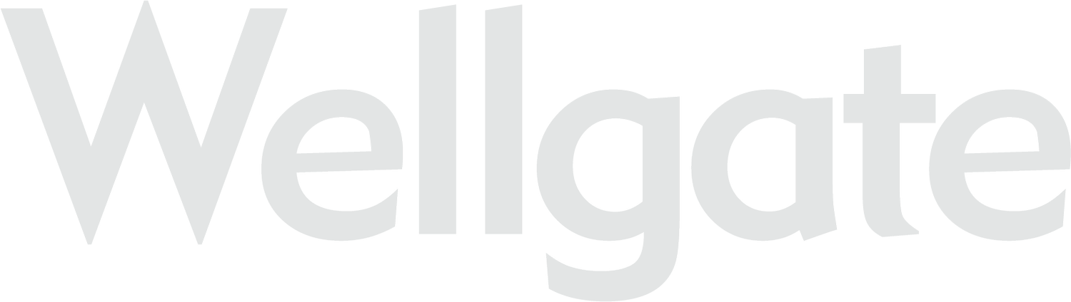 Wellgate Shopping Centre