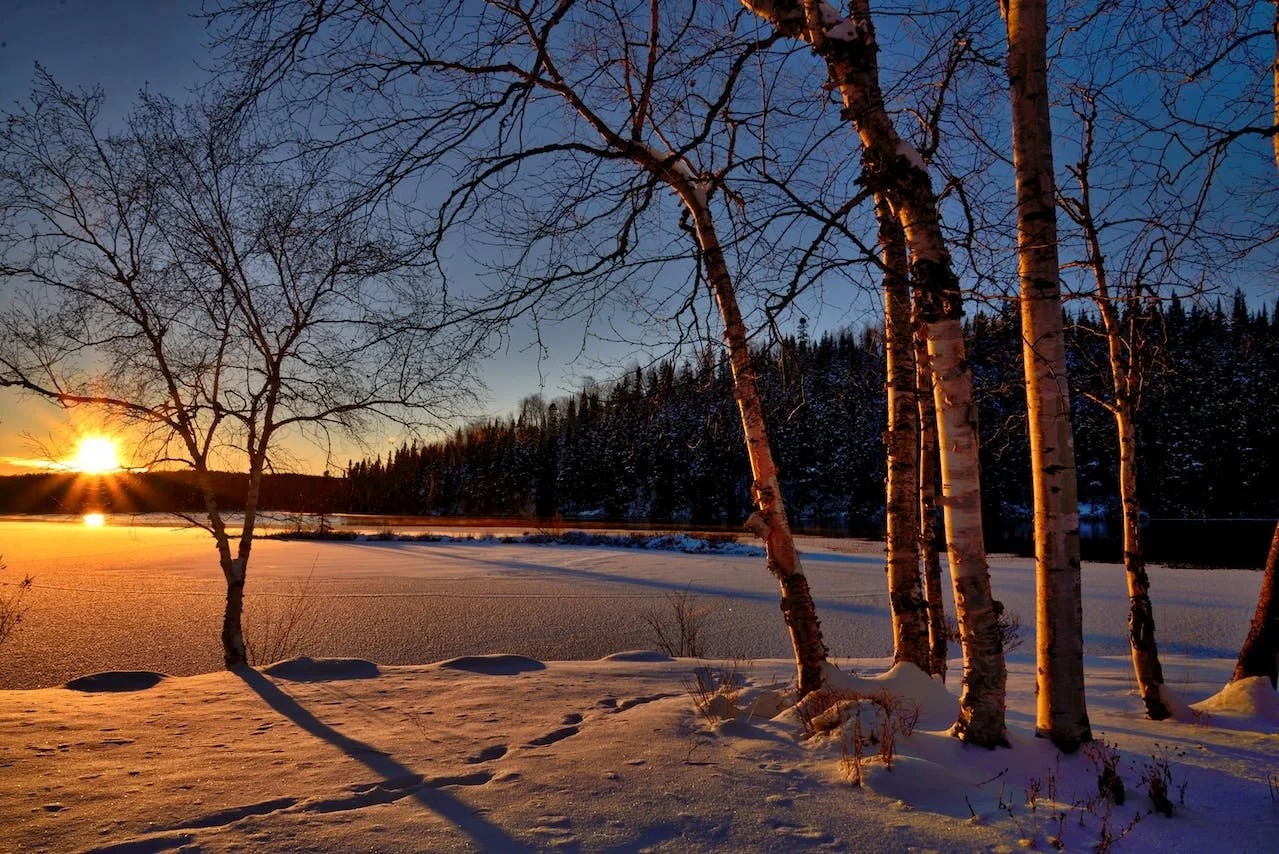 Winter Plumbing Tips for Preventing Frozen Pipes and More