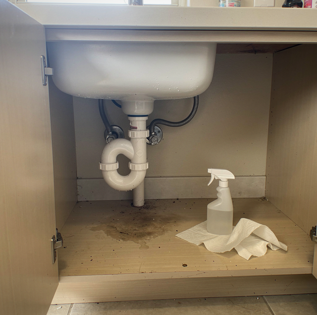 Under-sink cabinet with white basin, curved pipes, spray bottle, and paper towels on wooden floor.