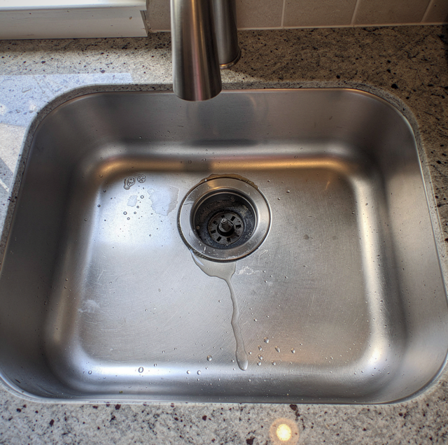 close-up of fruit flies breeding inside dark sink disposal