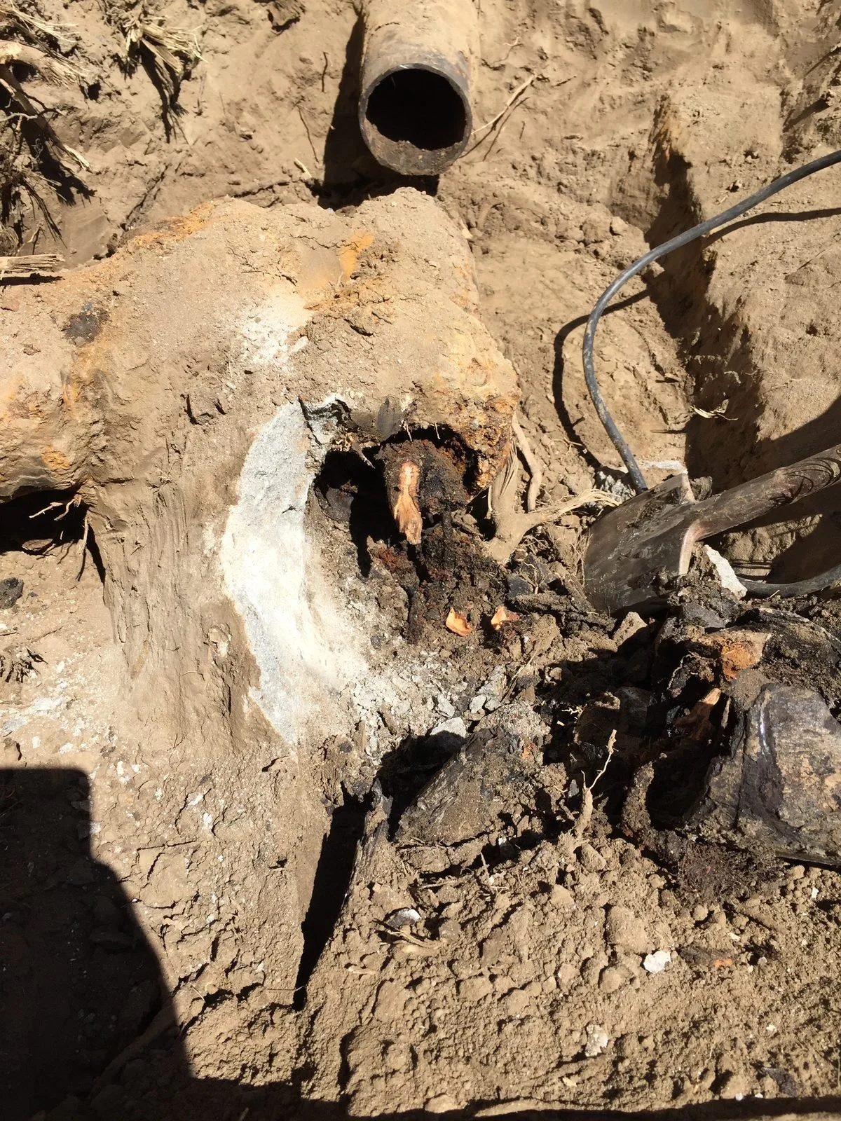 cracked underground sewer pipe with roots breaking through