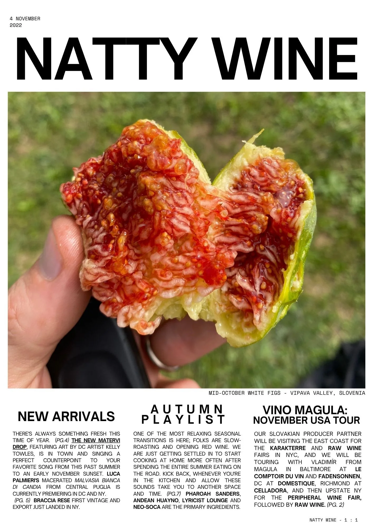 First Newsletter 11-22