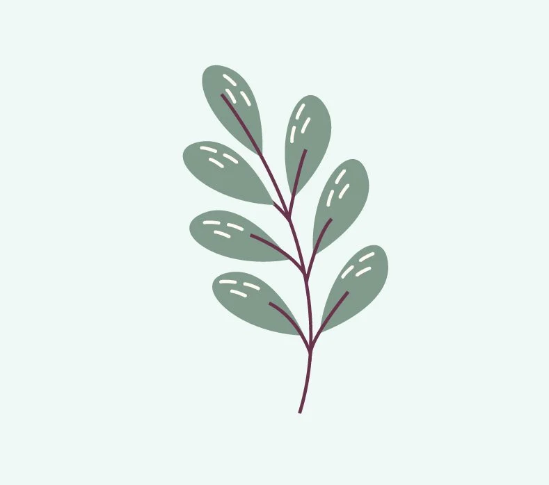 Montessori Meets Emotional Intelligence