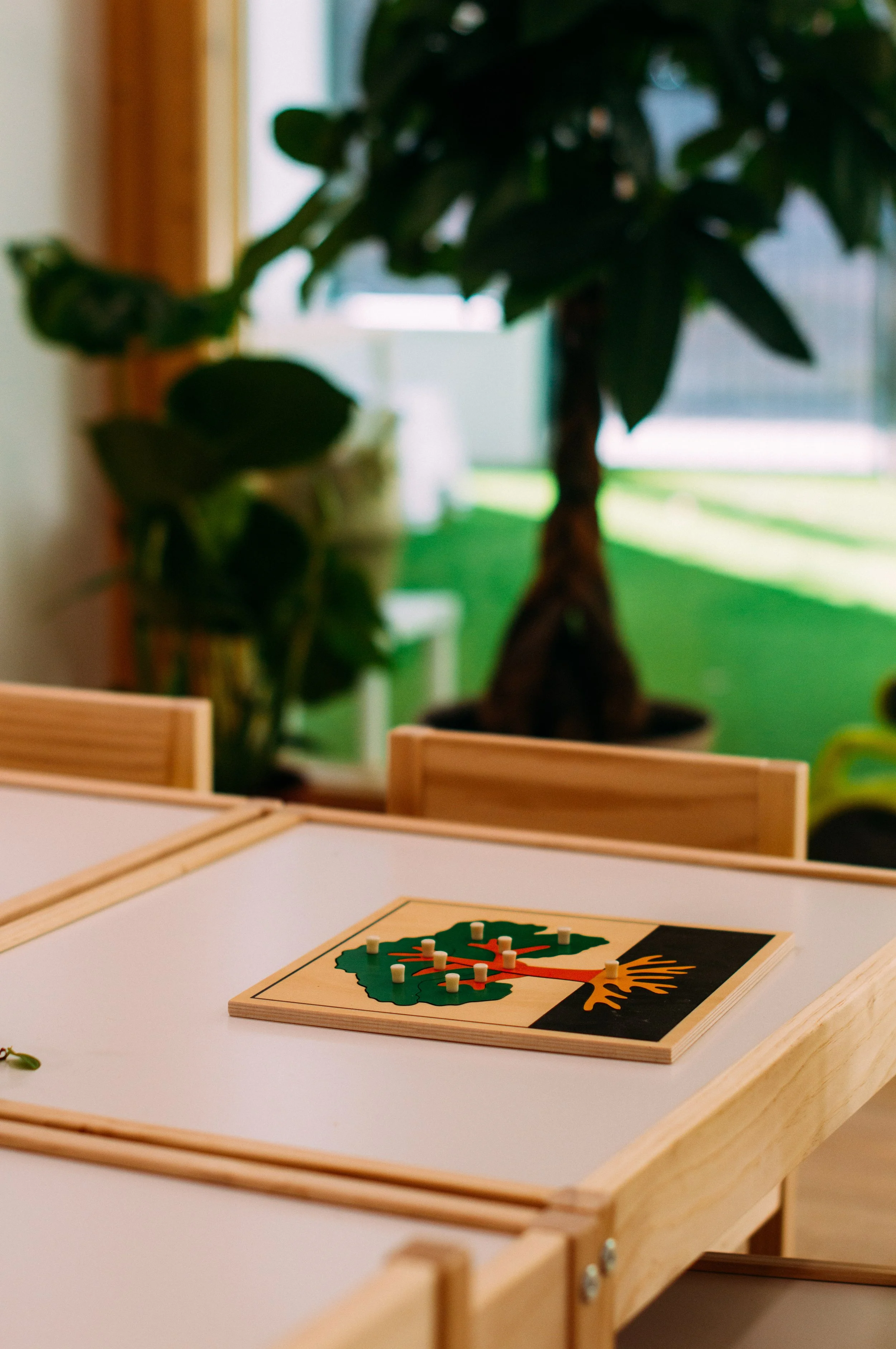Close-up of a board game with a green tree and orange horizon on the box cover, placed on a light wood table with an indoor setting, blurry background with green leaves and window.