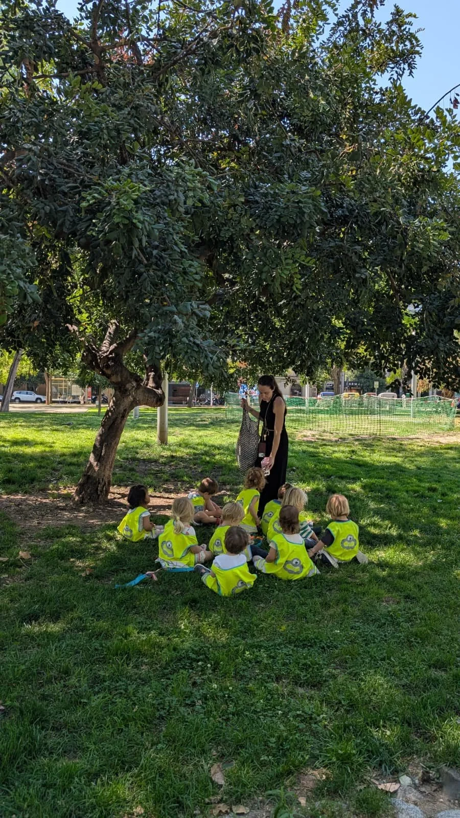 A group of young children sitting on the grass under a large leafy tree in a park, with a woman standing nearby, possibly teaching or supervising them.