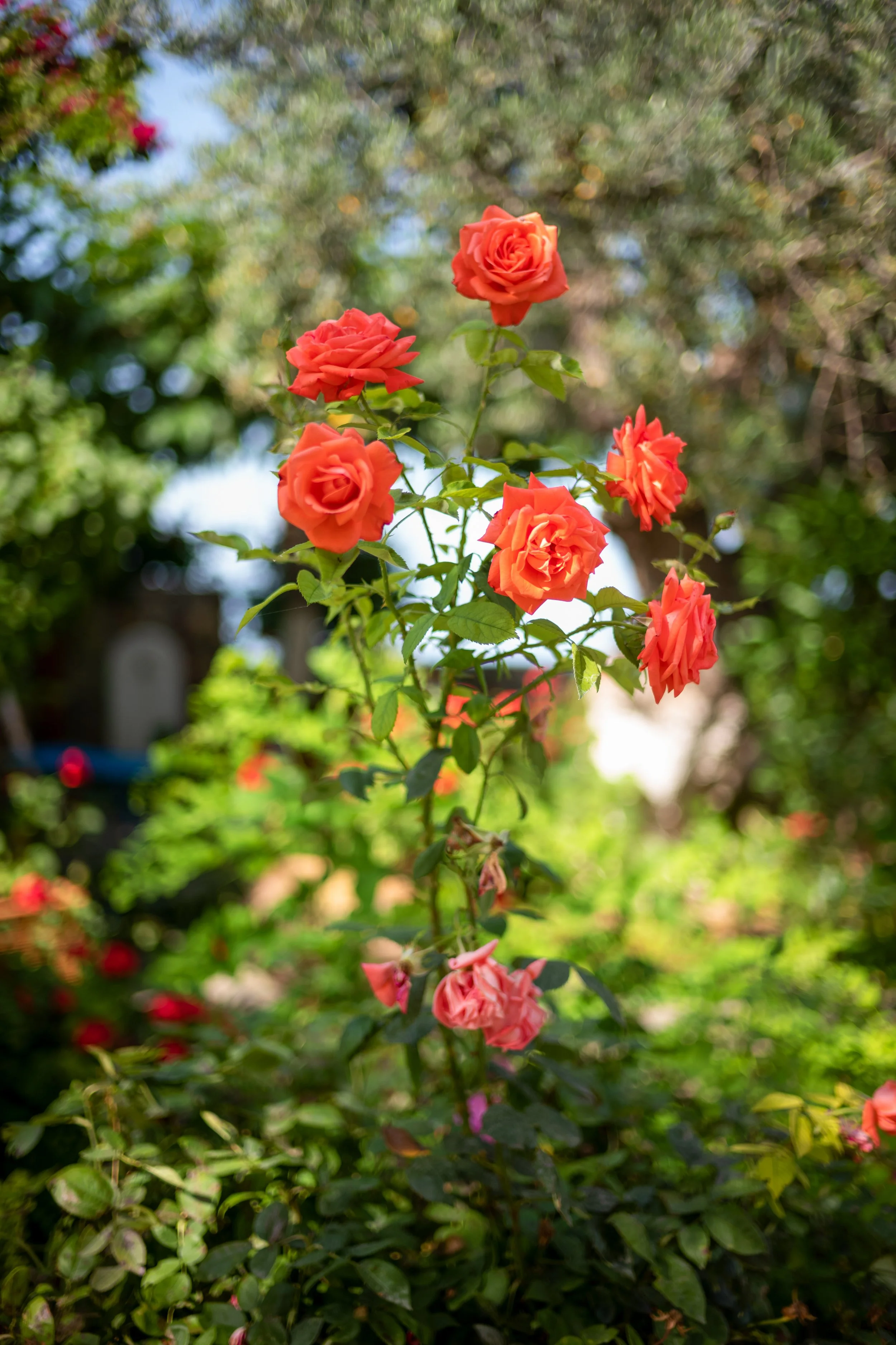 190613_0050.jpg