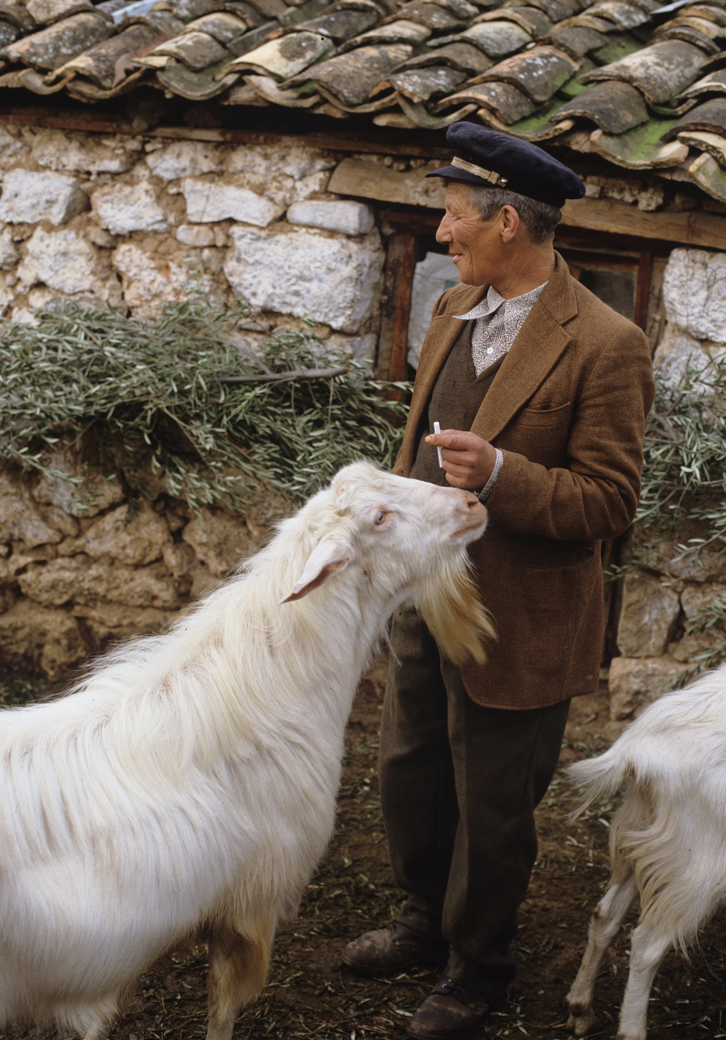 2027 copy Color.jpg