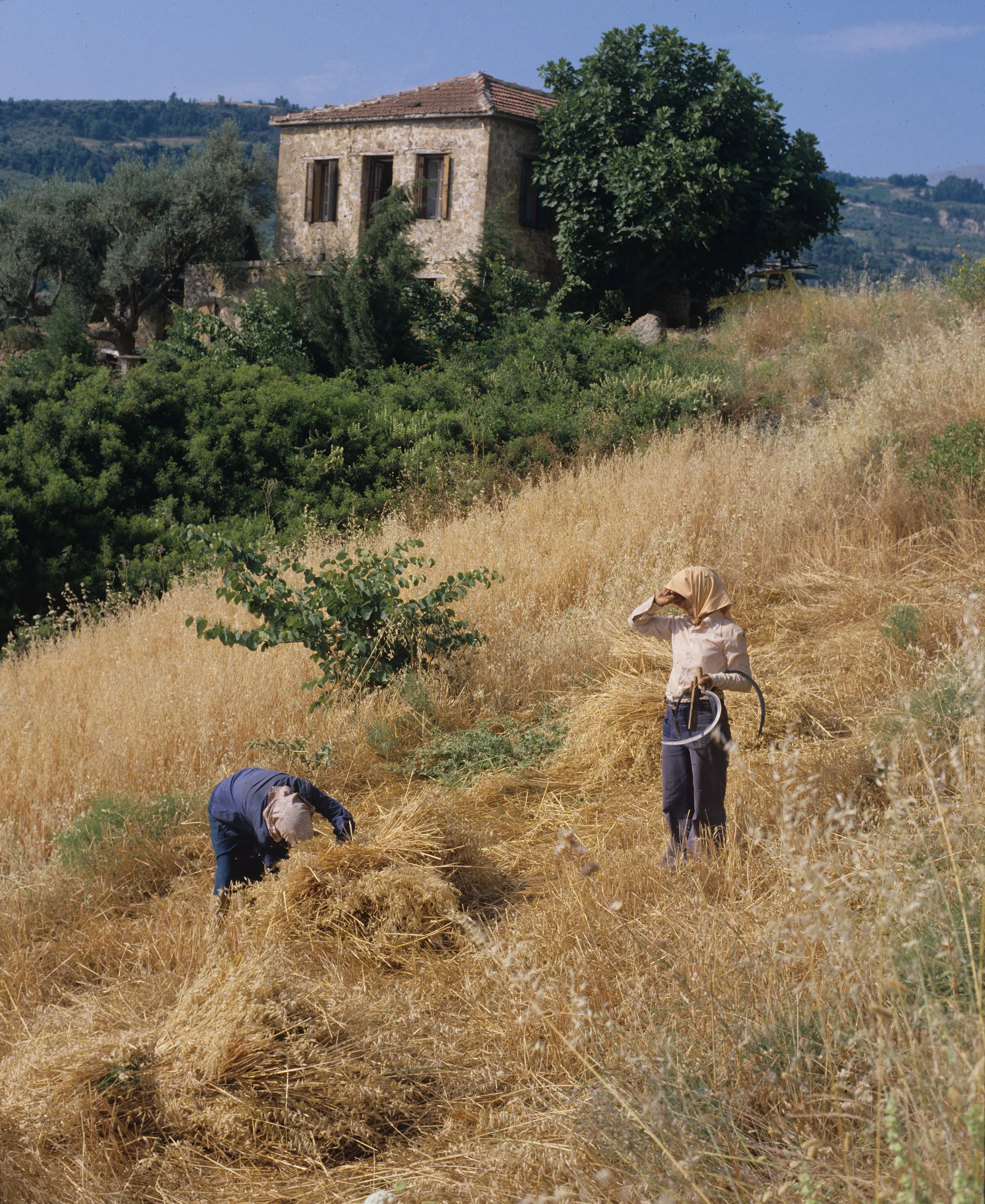 1214 copy Color.jpg
