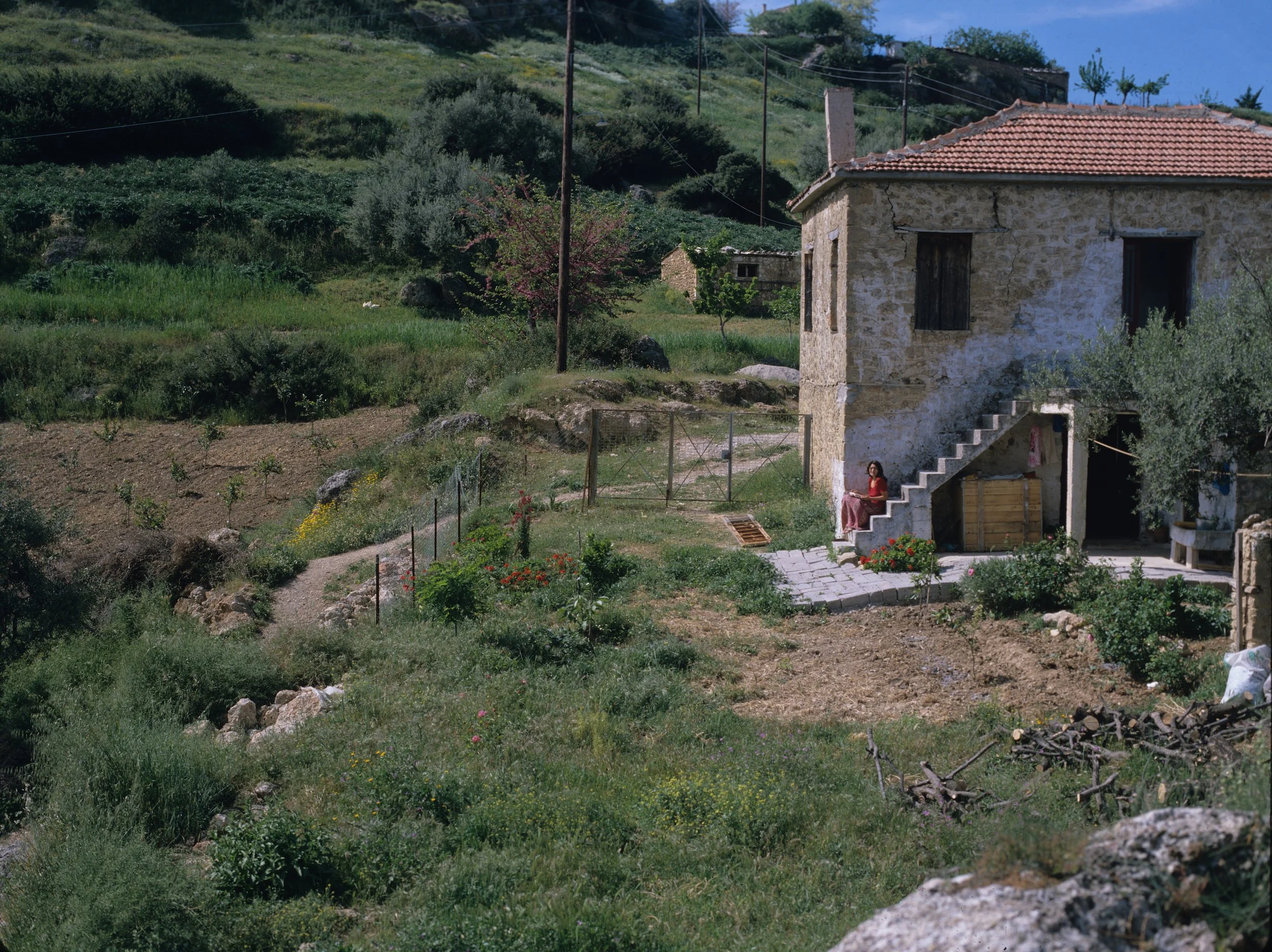 1052 copy Color.jpg