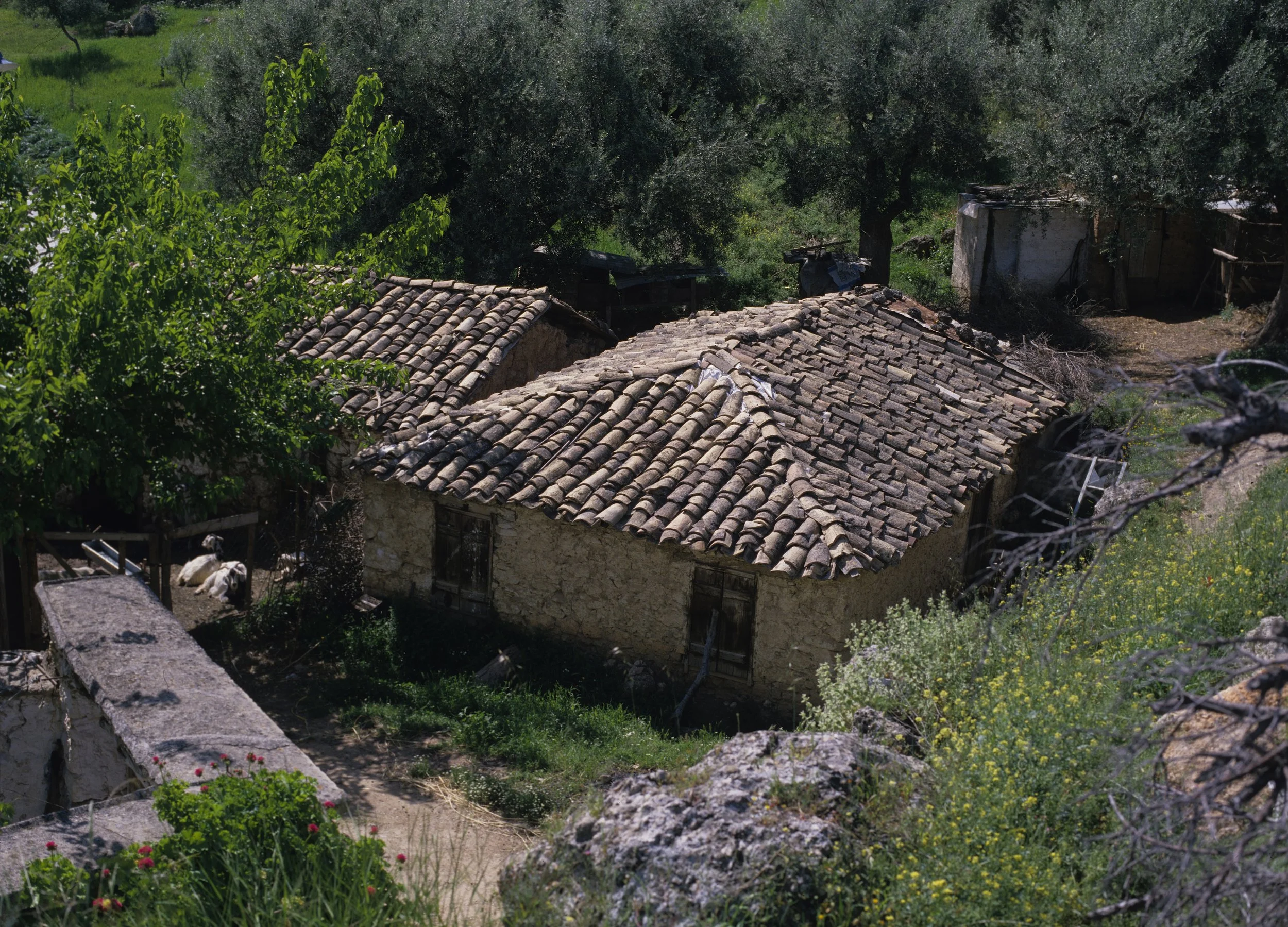 1051 copyColor 2.jpg