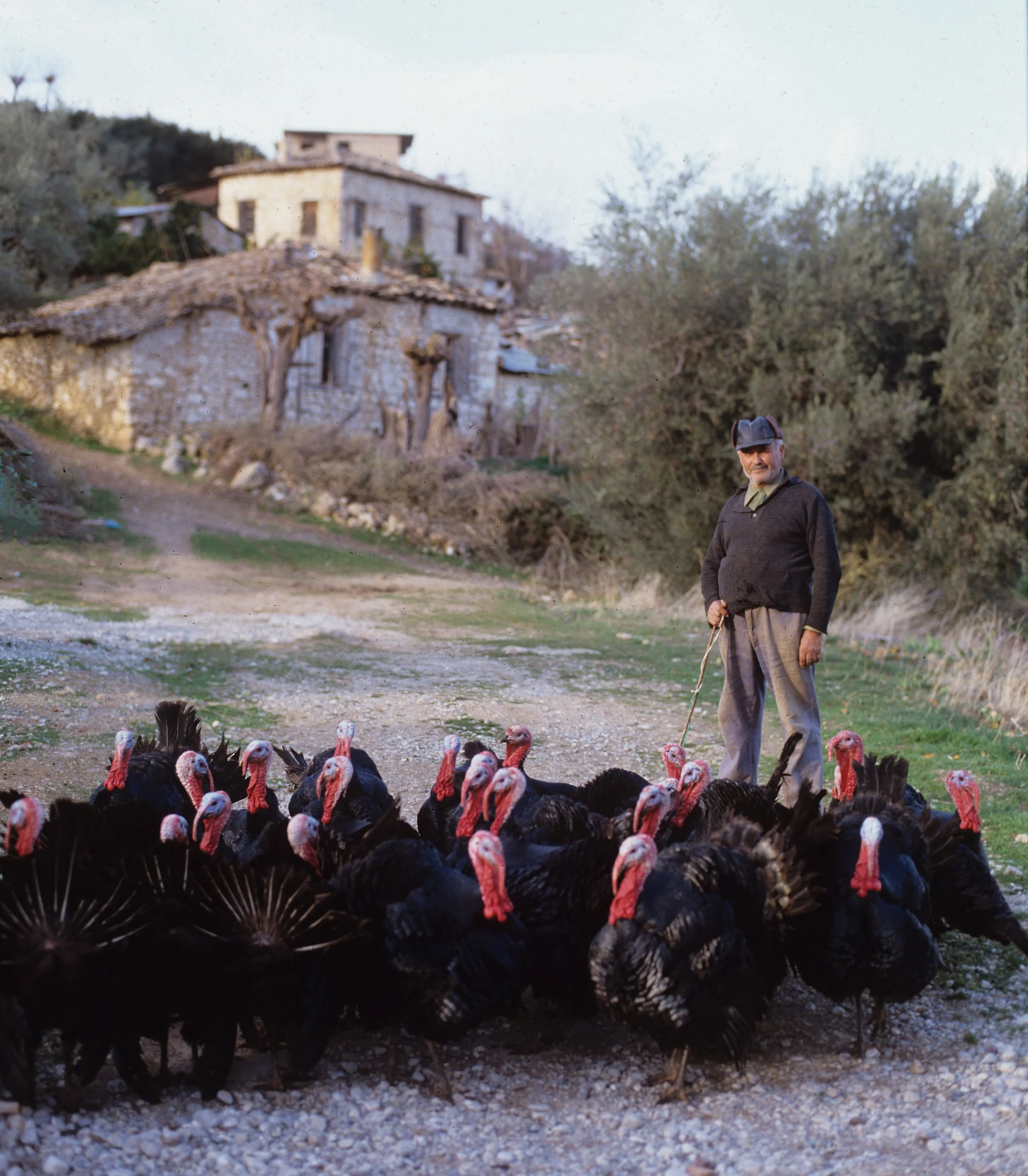 2008 copy Color.jpg