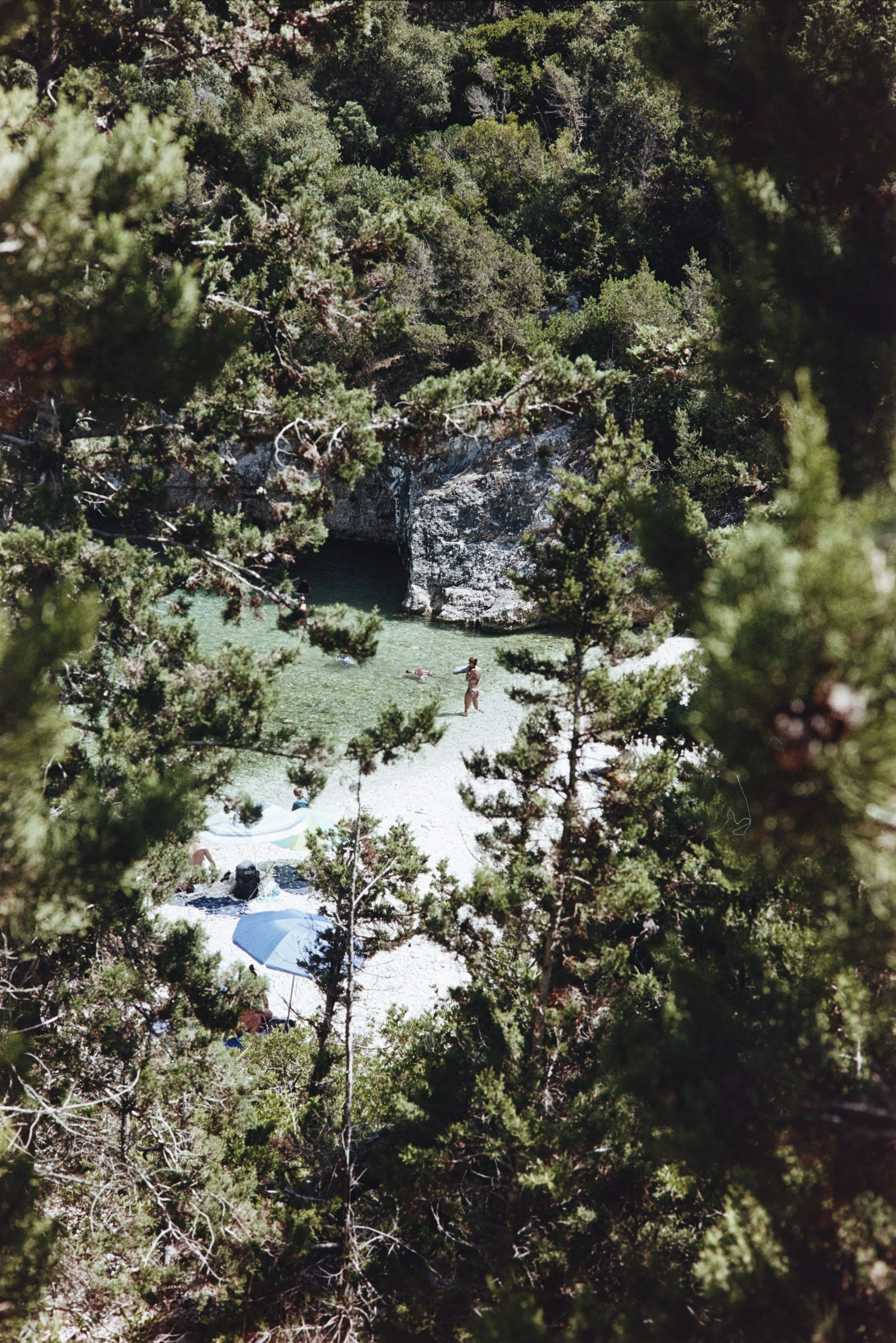 2026-09-04-201.jpg