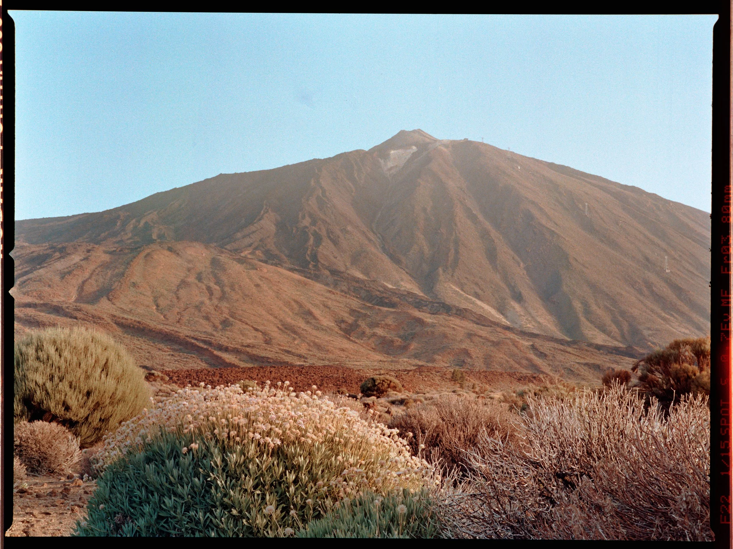 2026-09-24_Louis - Portra 800 - Roll 3_Frame004.jpg