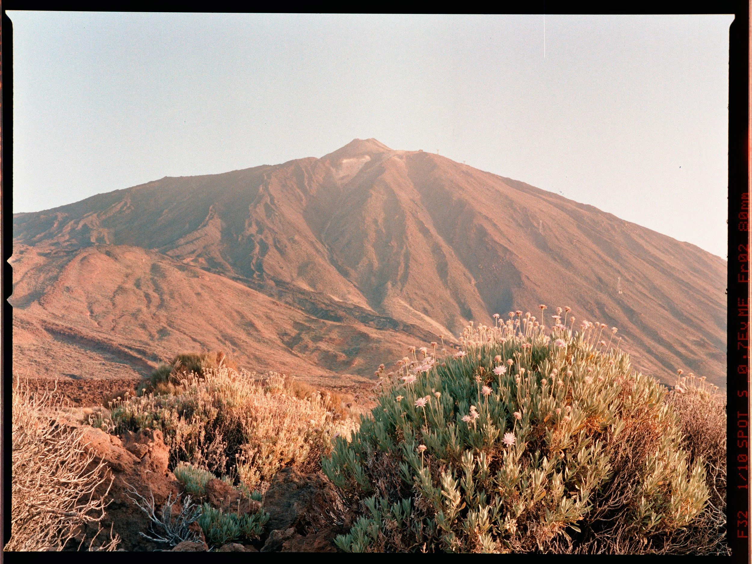 2026-09-24_Louis - Portra 800 - Roll 3_Frame003.jpg