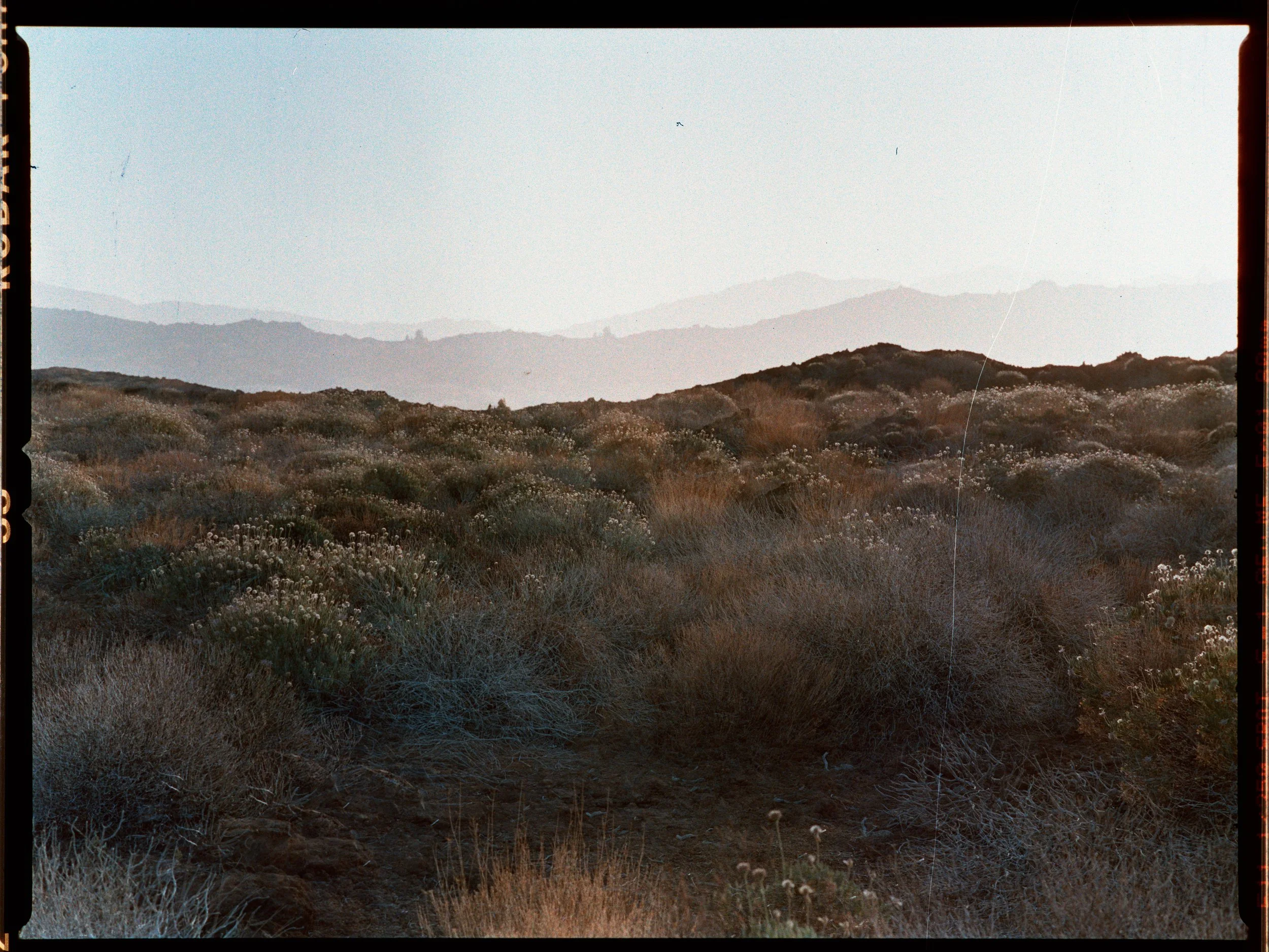 2026-09-24_Louis - Portra 800 - Roll 3_Frame002.jpg