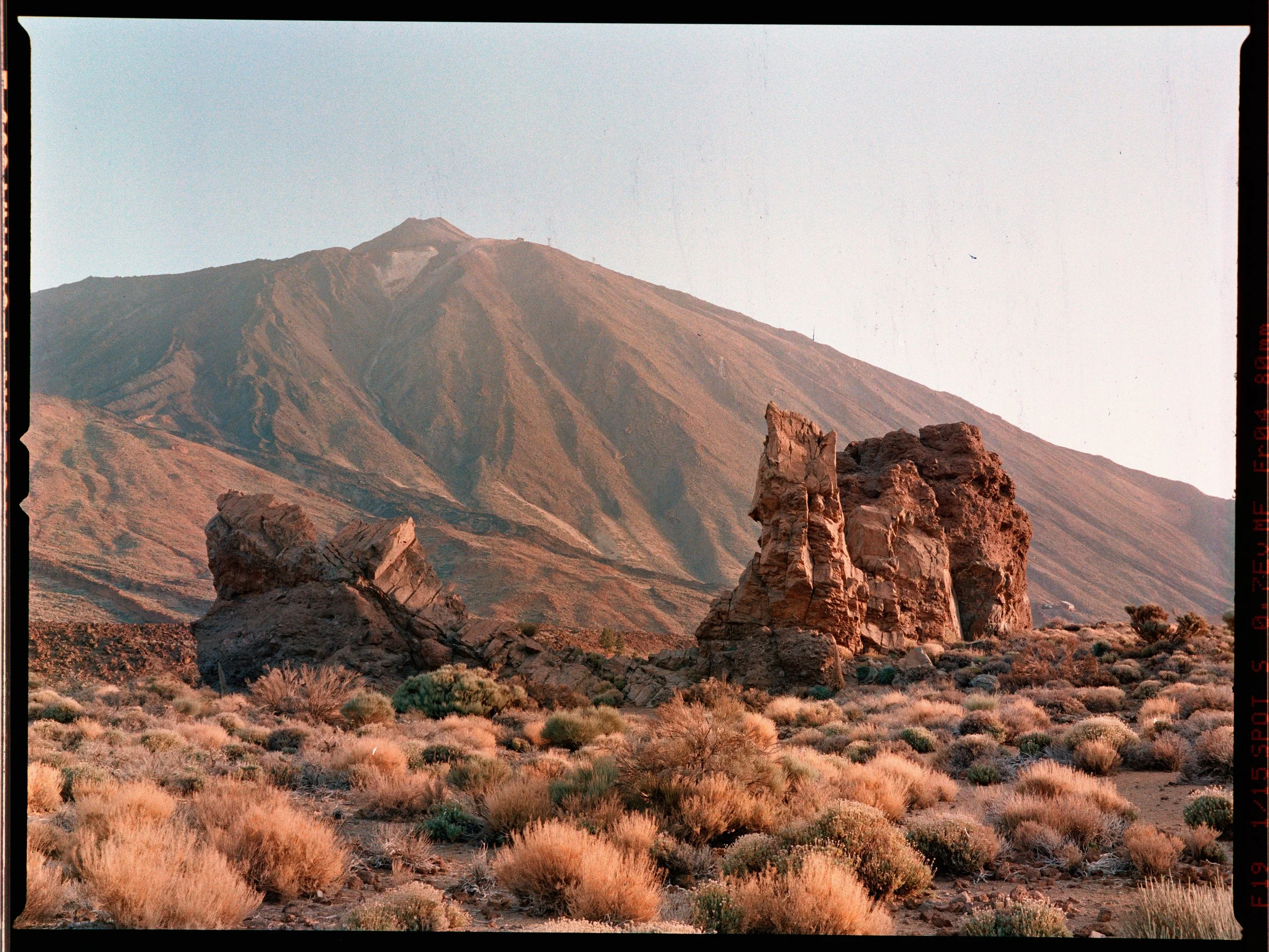 2026-09-24_Louis - Portra 800 - Roll 3_Frame005.jpg