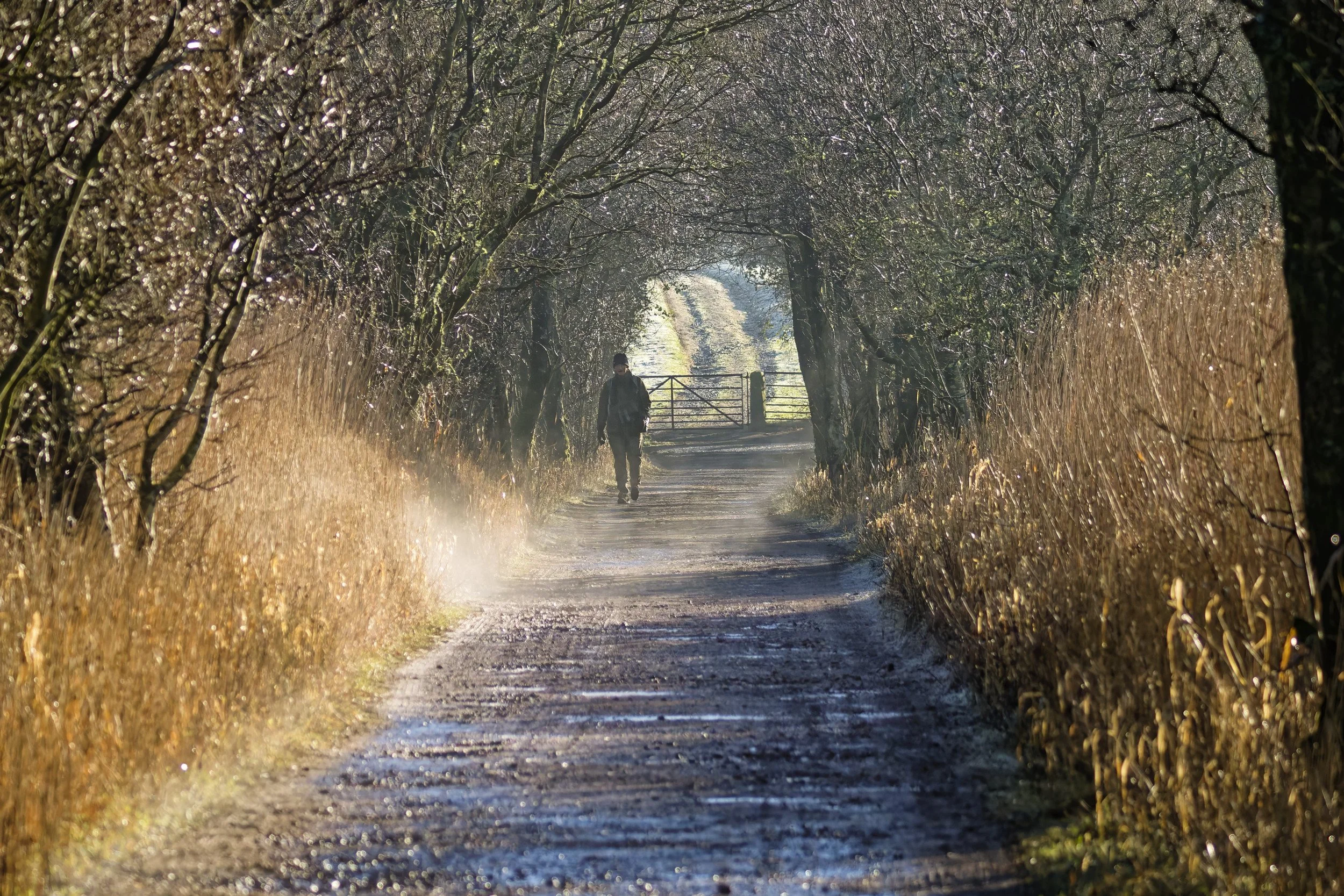 Early morning walk