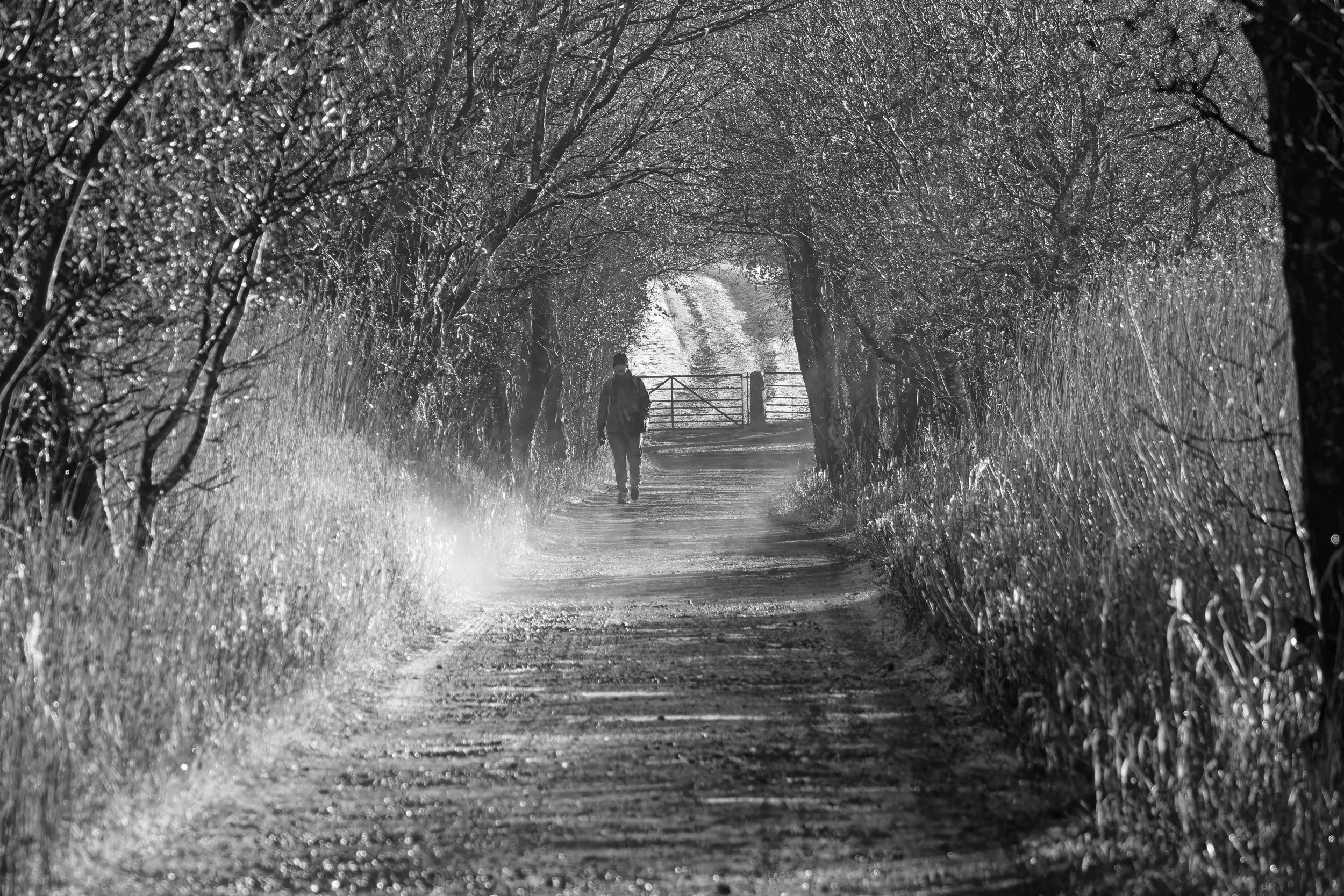 Early morning walk