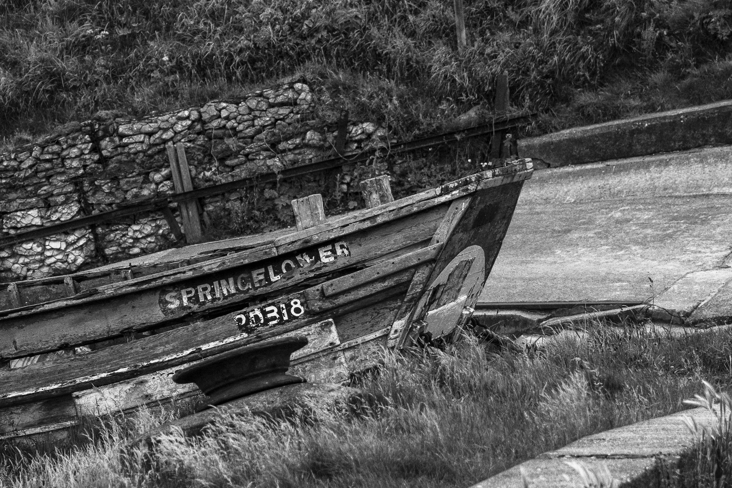 Old Wooden Boat - Springflower