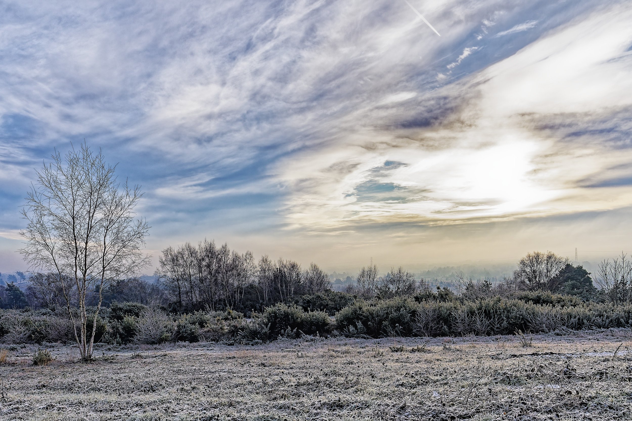 Early Morning Sky