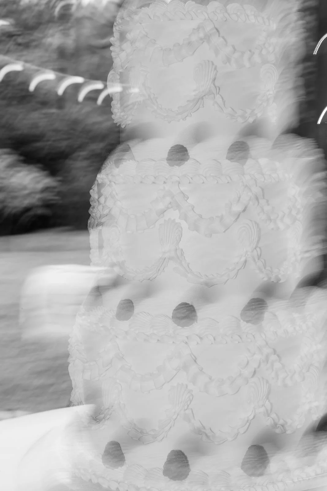 Hyde-Estate-Haywards-Heath-T&S-Sussex-Wedding-Photography-708.jpg