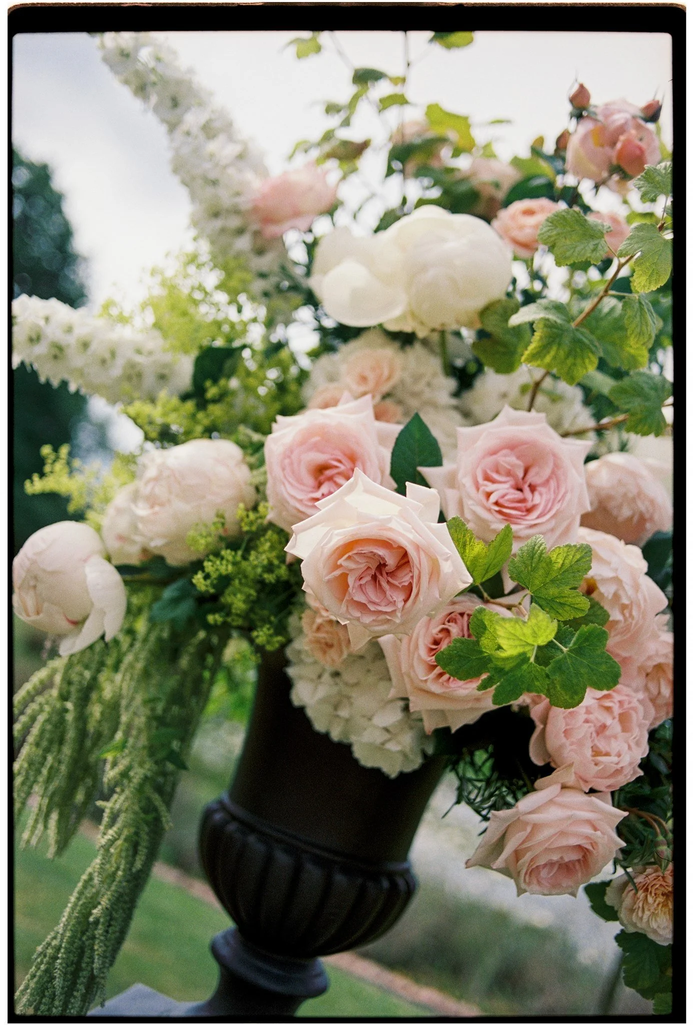 C_A_film-3_websize.JPG