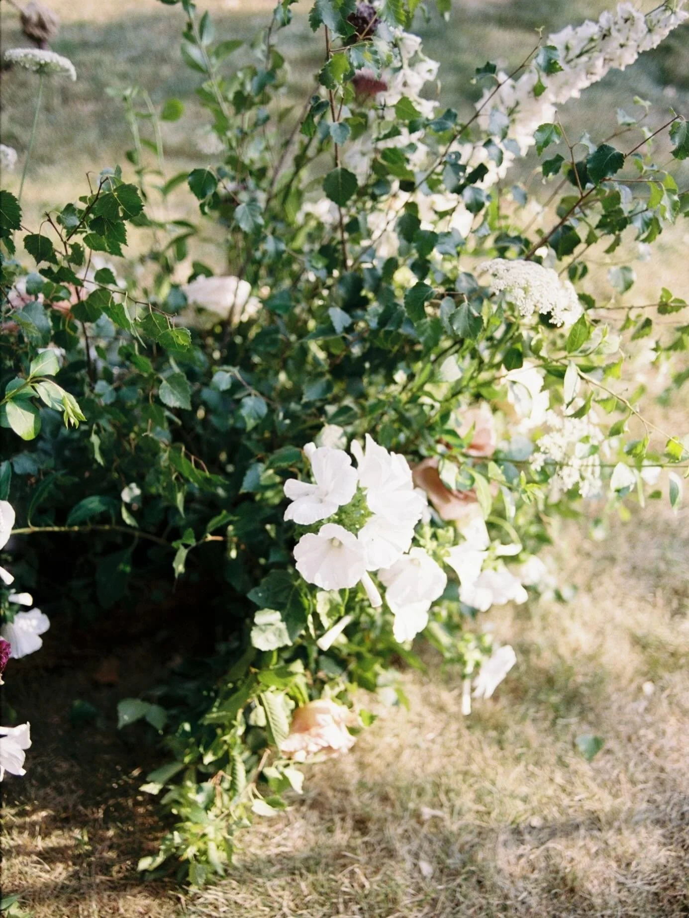 Film scans from the dreamiest wedding in July for Ellie and James

Photography @laurenelizabethphotographer 
Marquee - @tentsnevents 
Generator and Production @grizzlybearevents 
Catering &amp; Planning @doggartandsquash 
Furniture - @rajtentclub 
Se