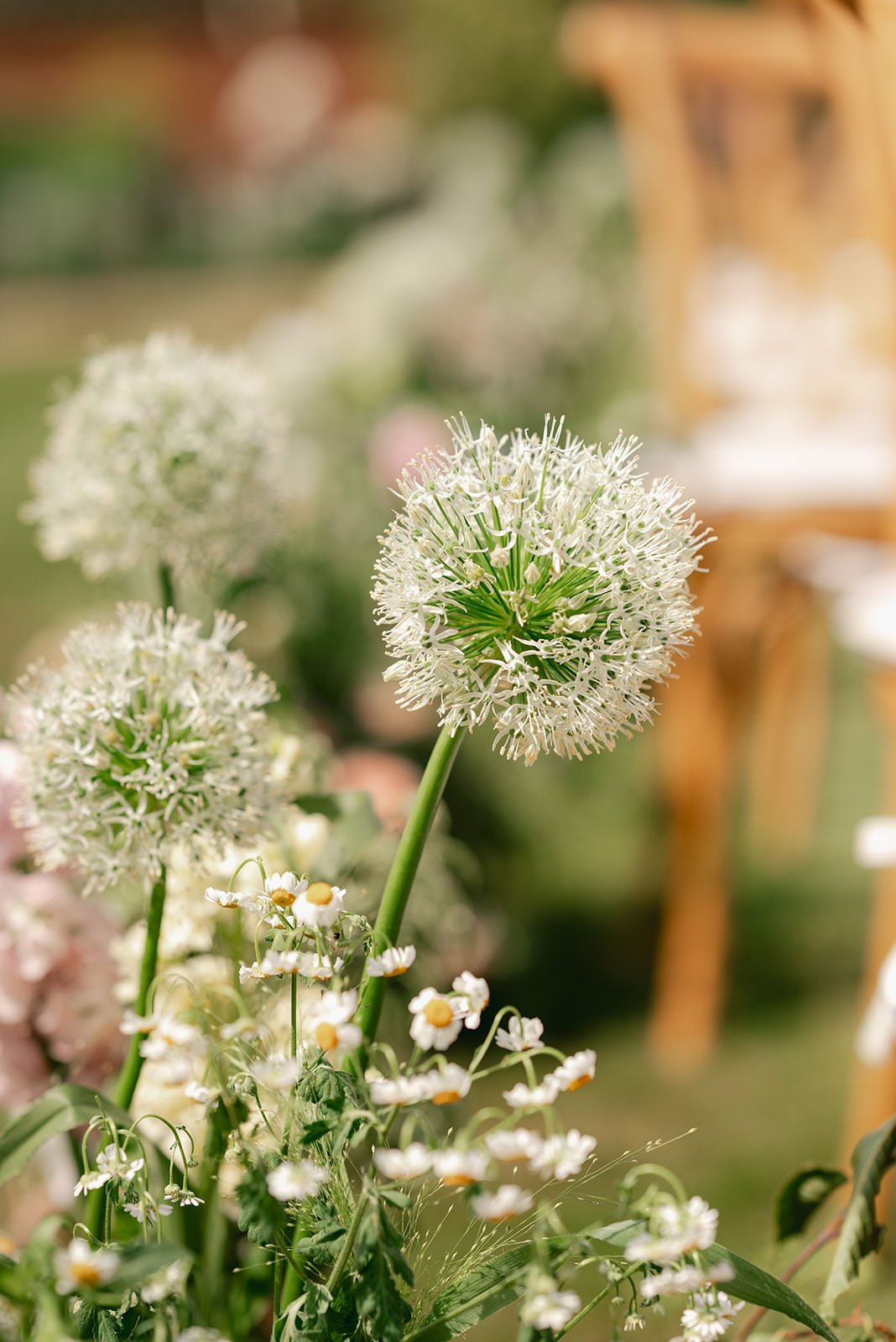Bignor-Park-Estate-Luxury-East-Sussex-Wedding-Photographer-R&C-Wedding-Ceremony-2.jpg
