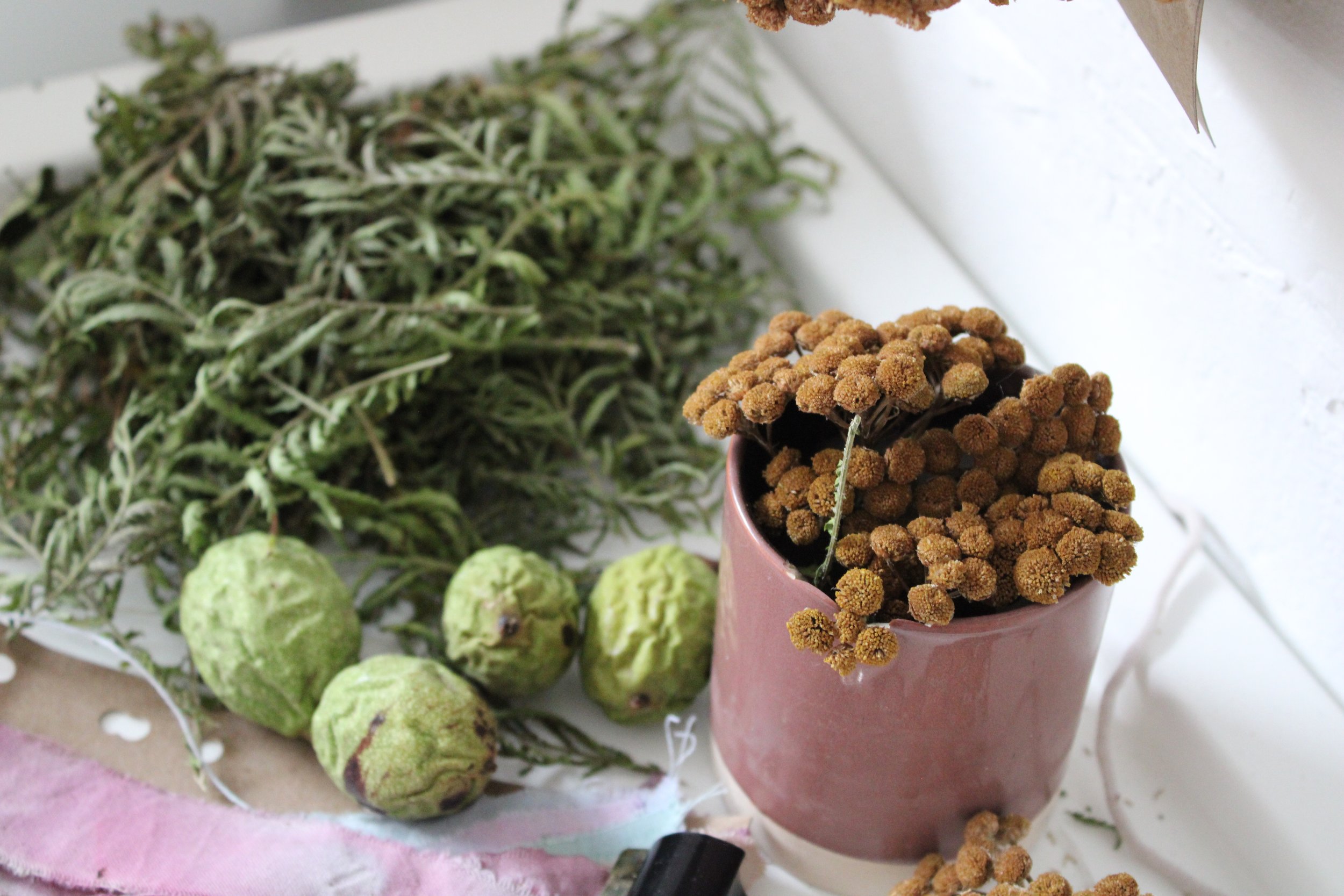1 day natural dyeing workshop