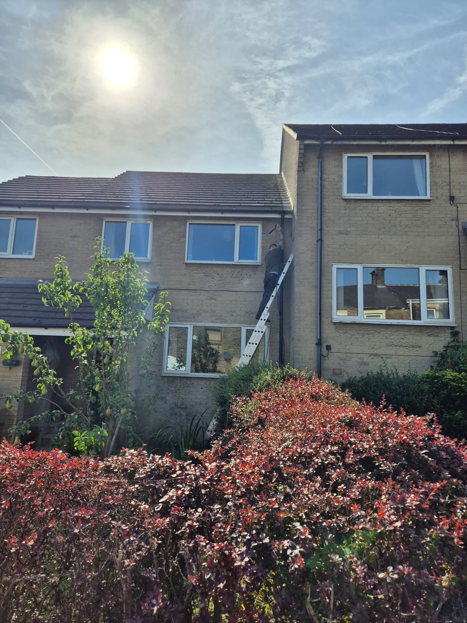 Should you insulate a party wall?