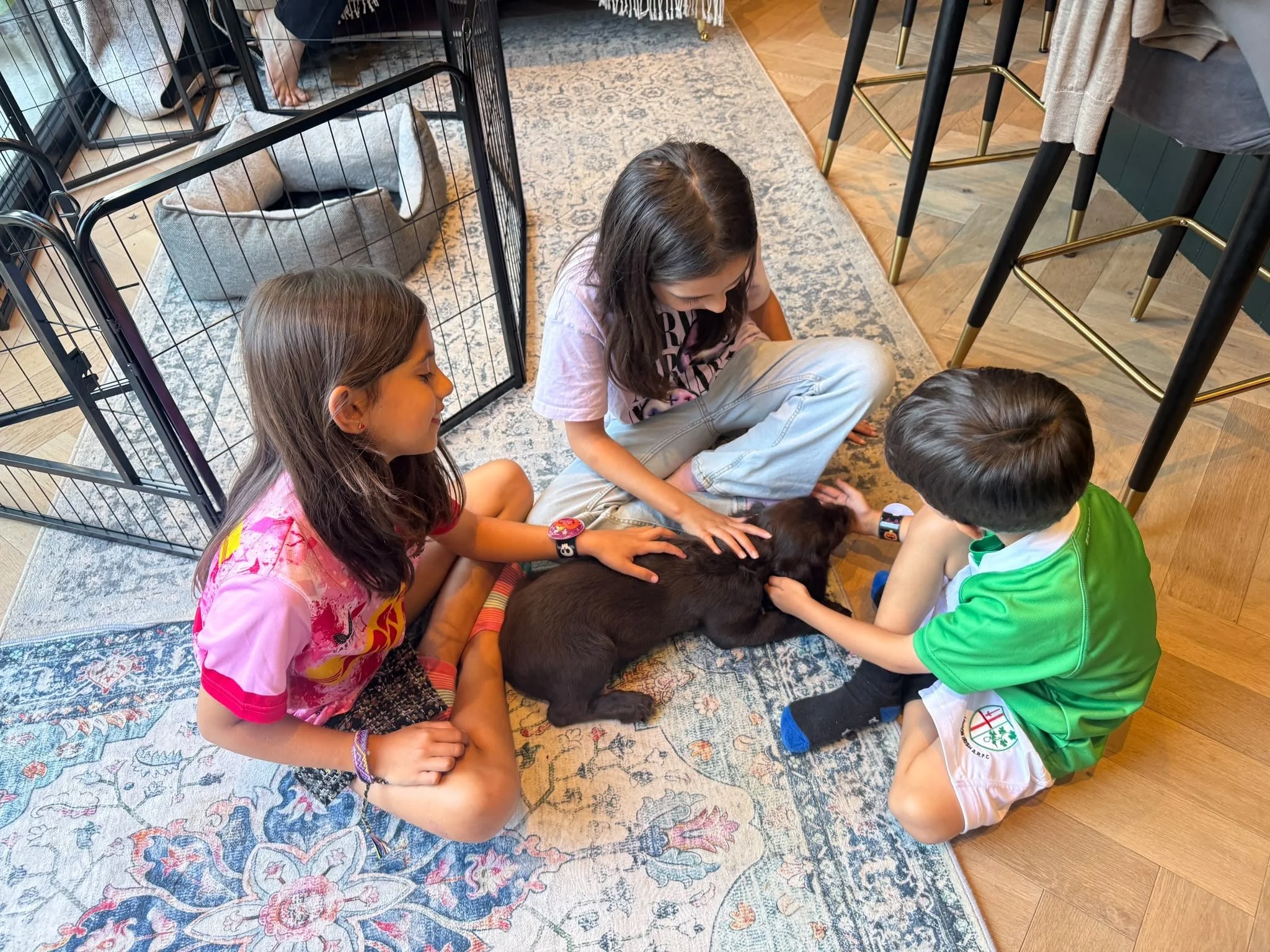 3 children sitting on floor around brown puppy