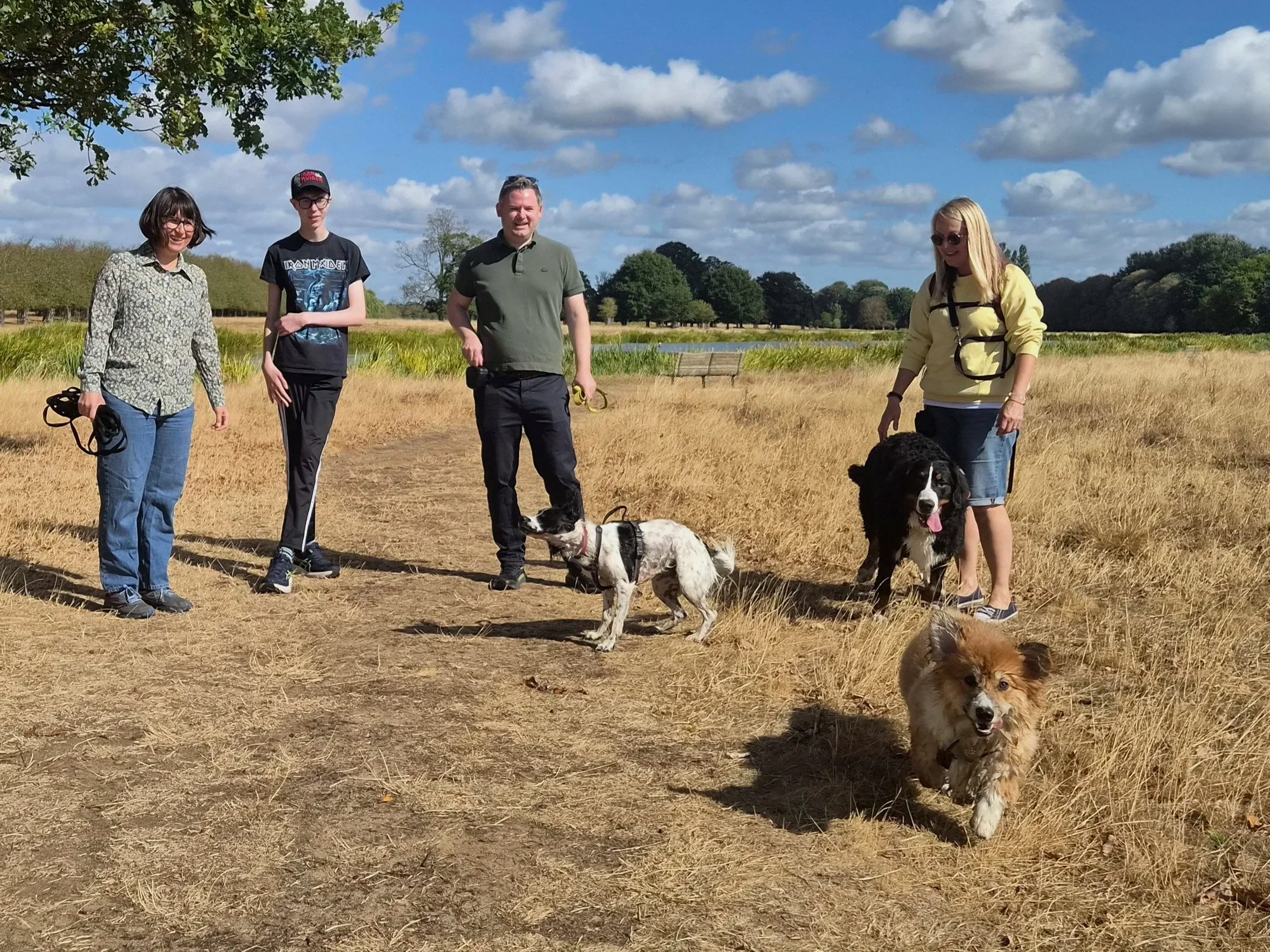 Group of dog walkers and their puppies