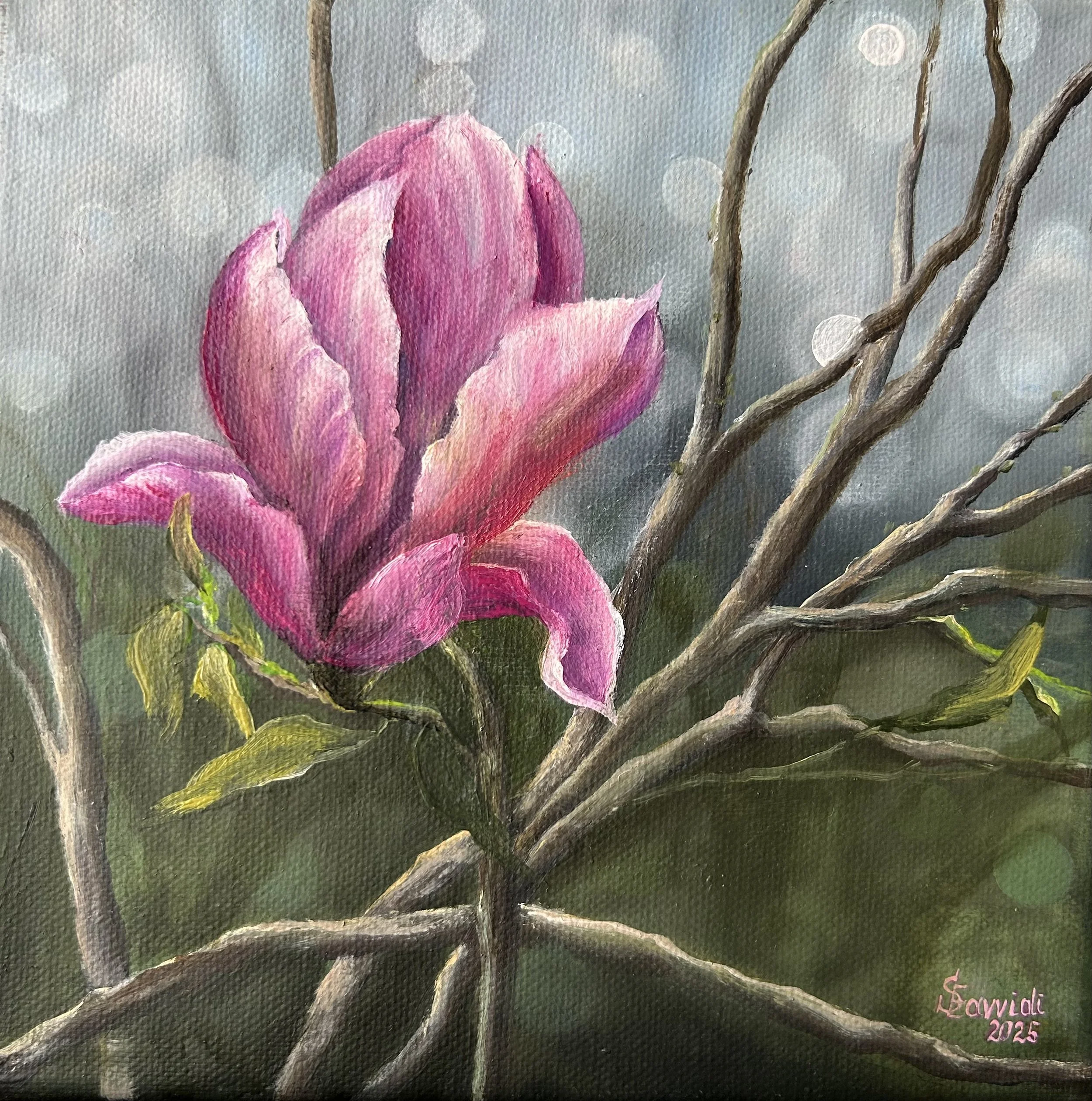 Magnolia in Bloom
