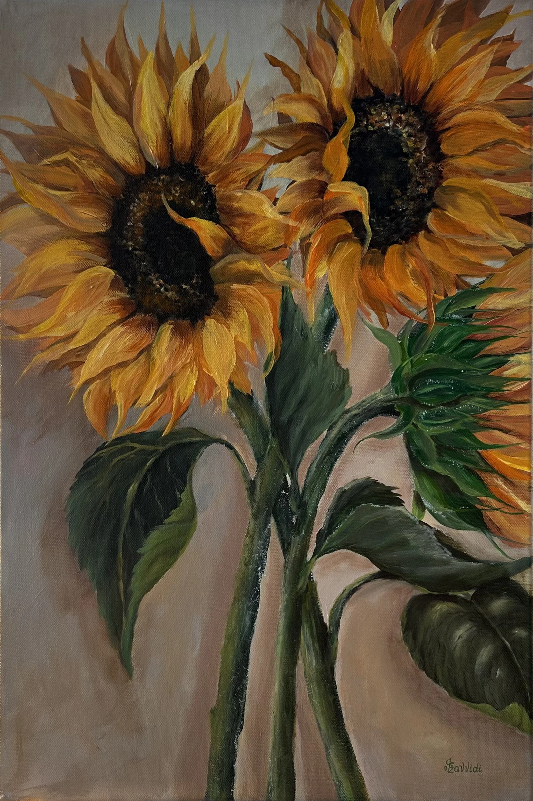 Sunflowers in Bloom