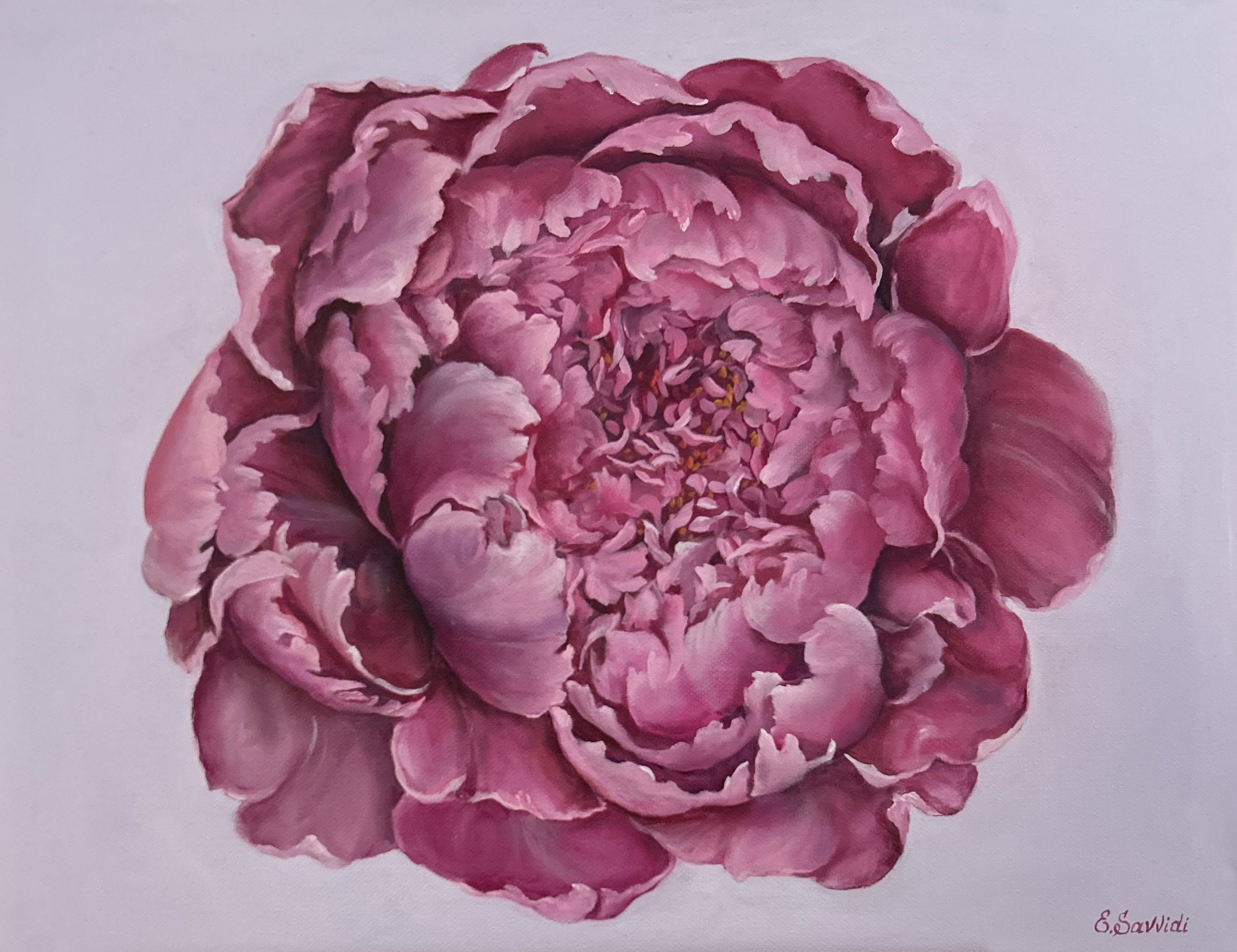 Heart of a Peony