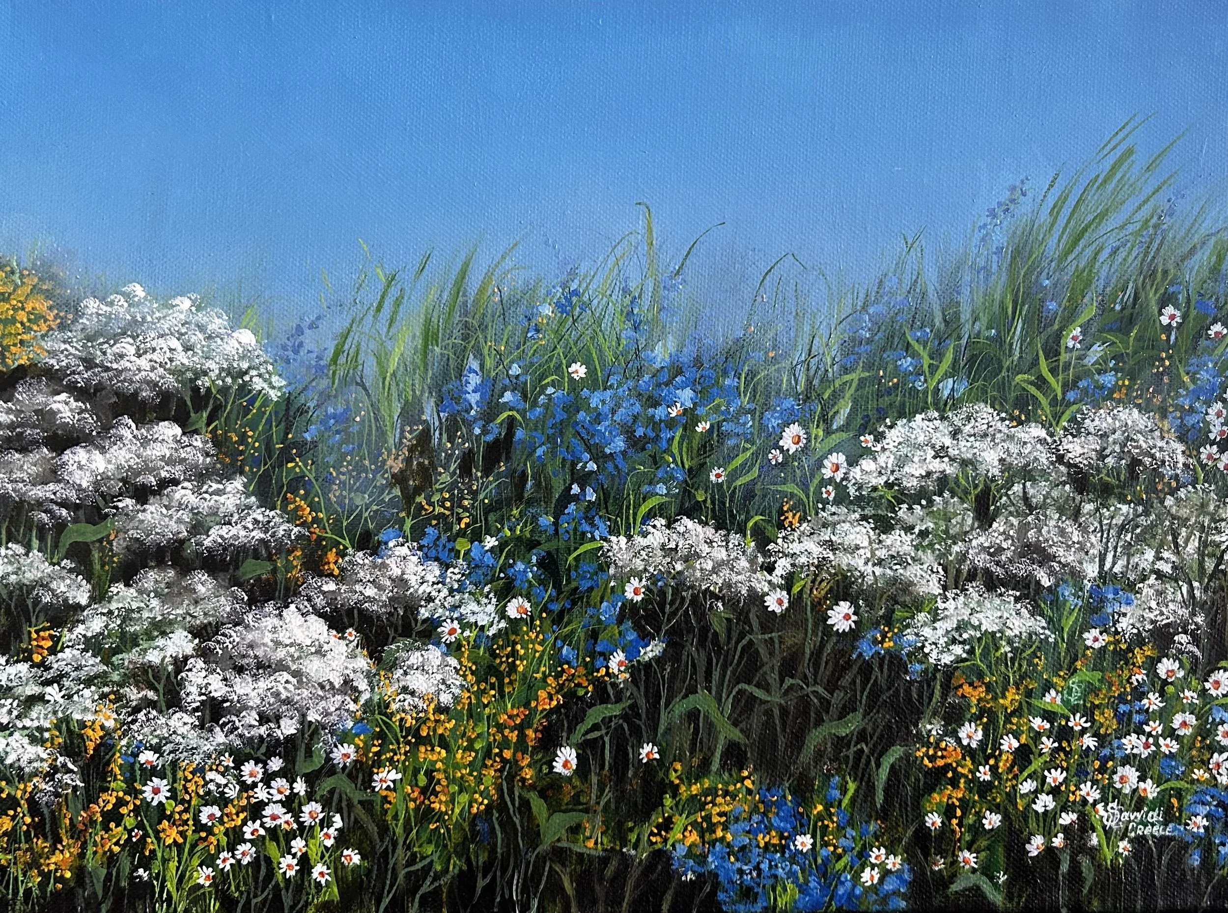 Summer Wildflowers