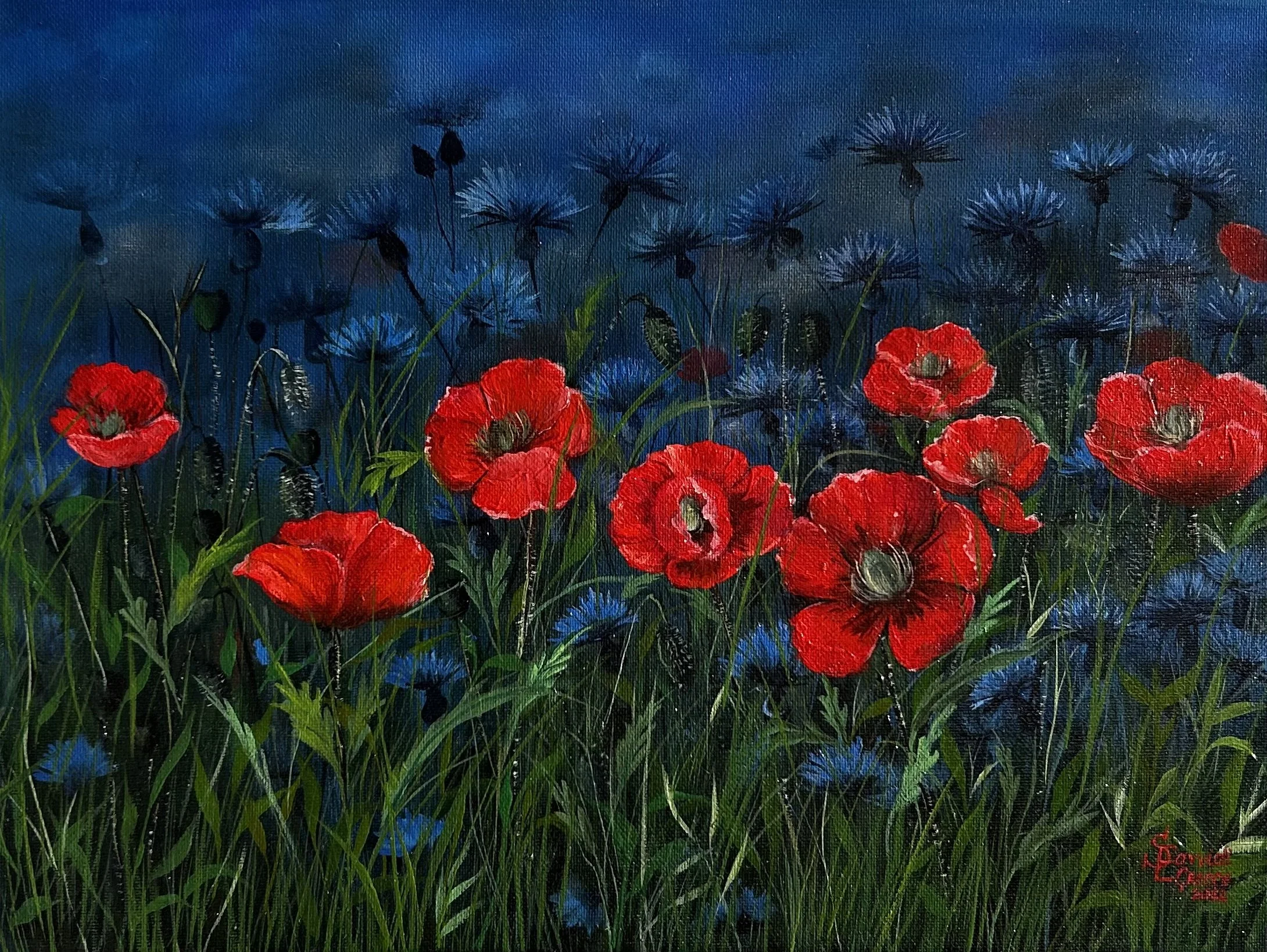 Poppies After Twilight