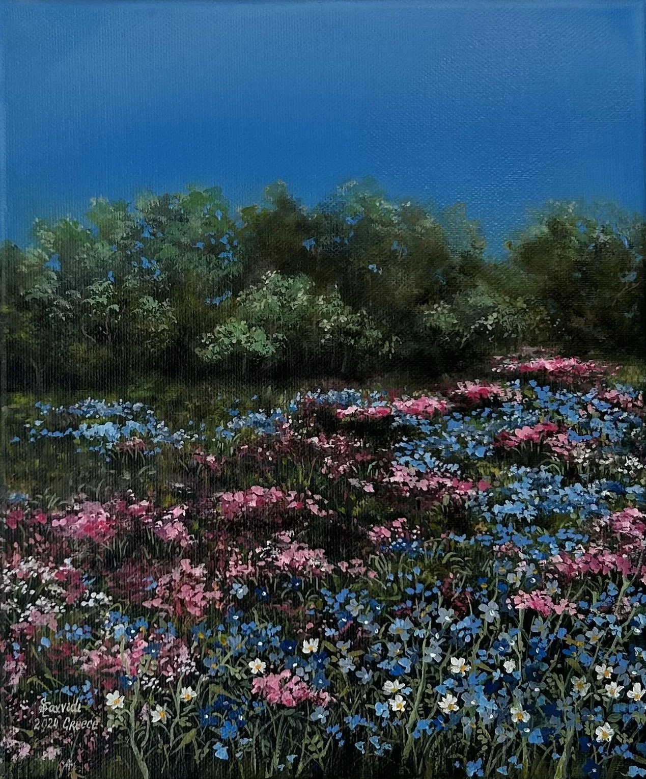 Fields of Color