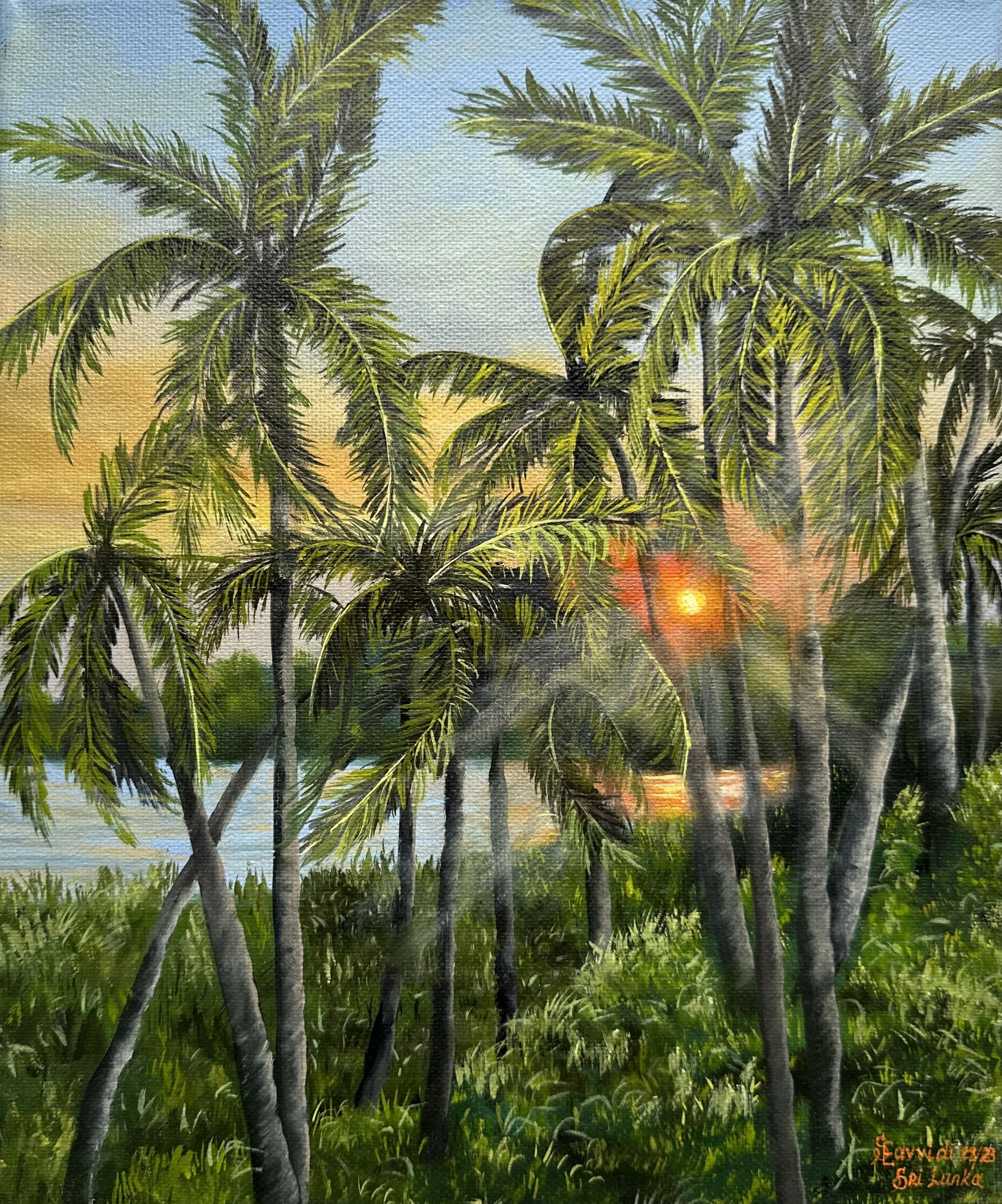 Sun Between the Palms