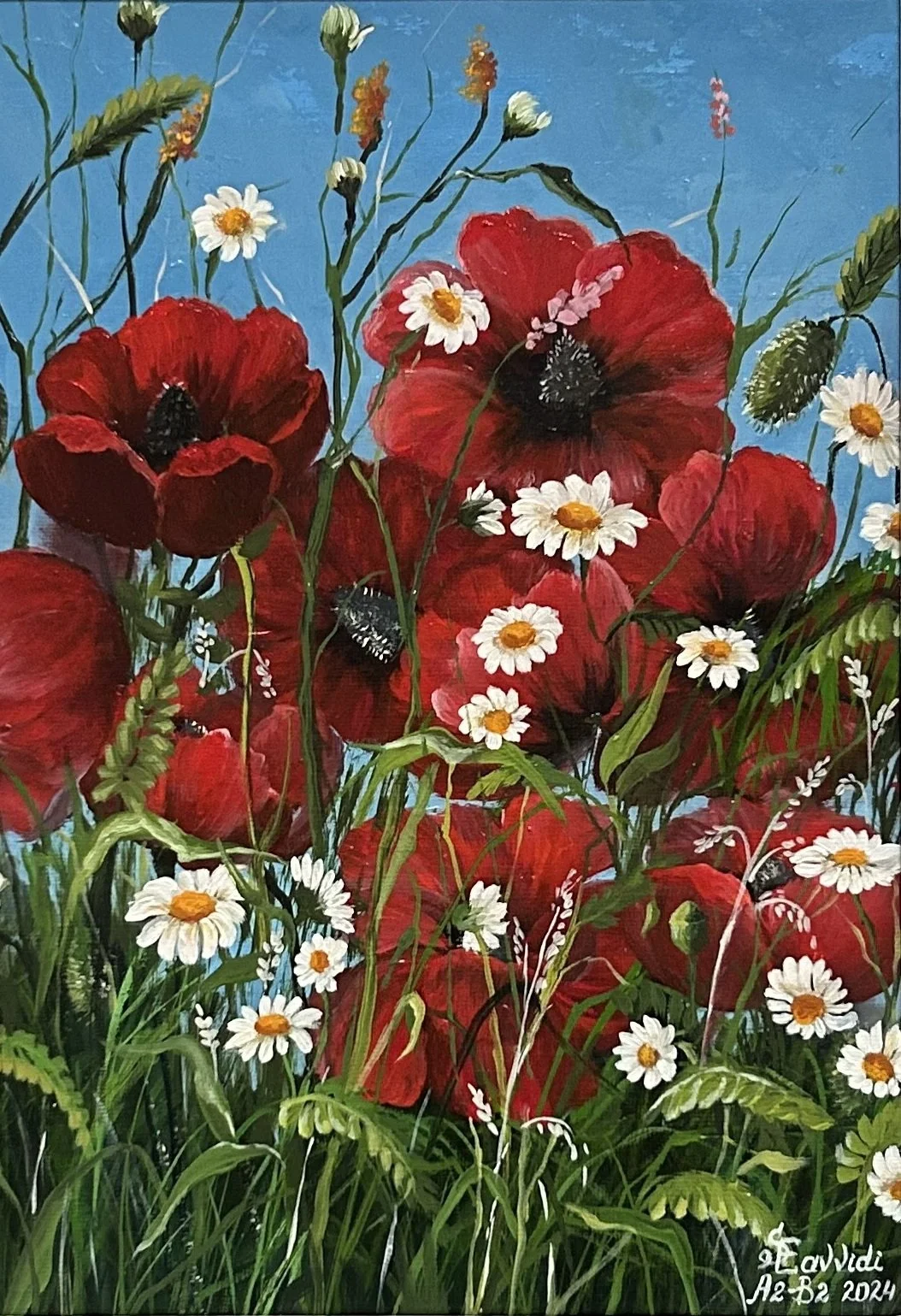 Poppies and Daisies