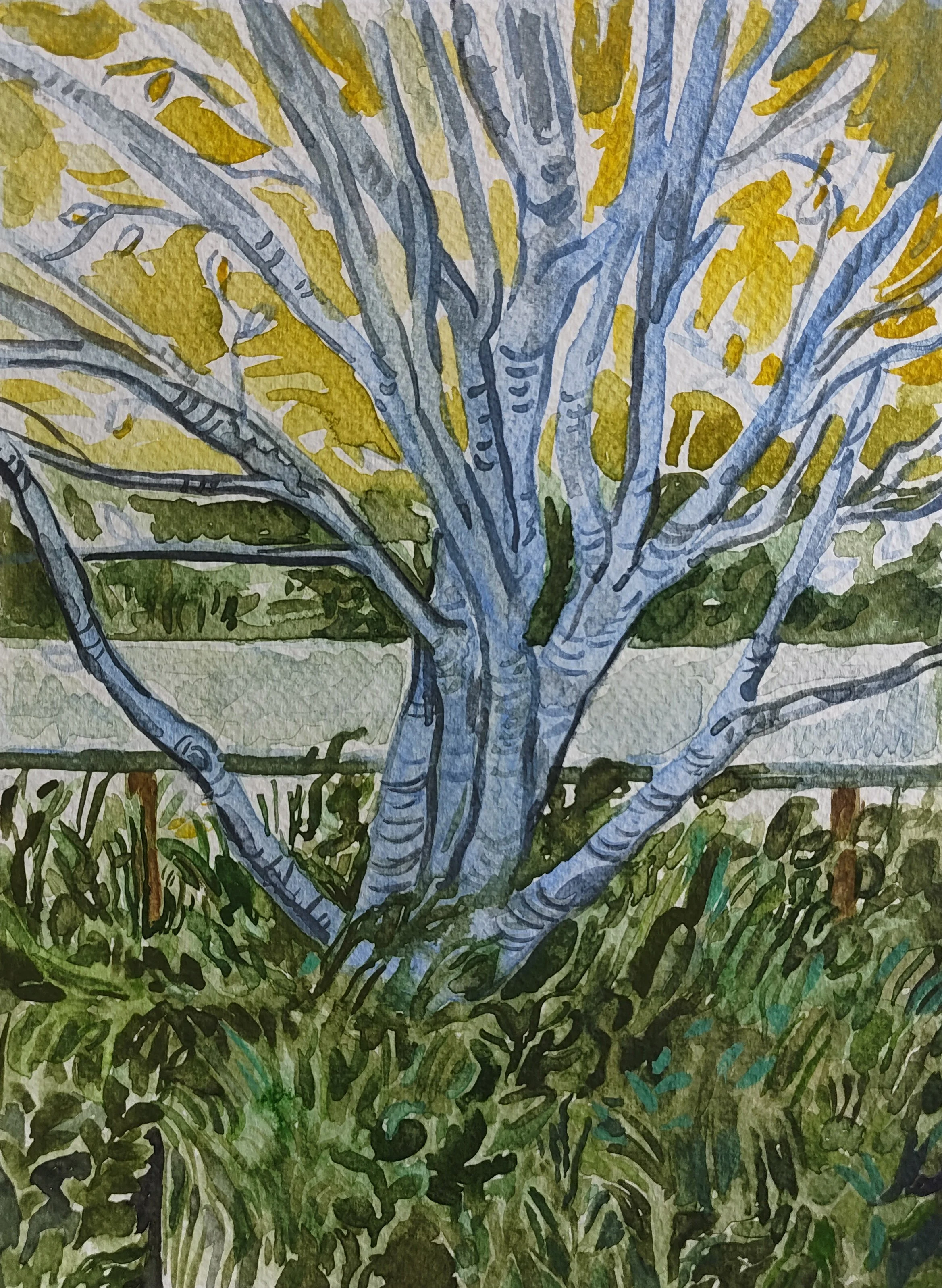 By the Canal
