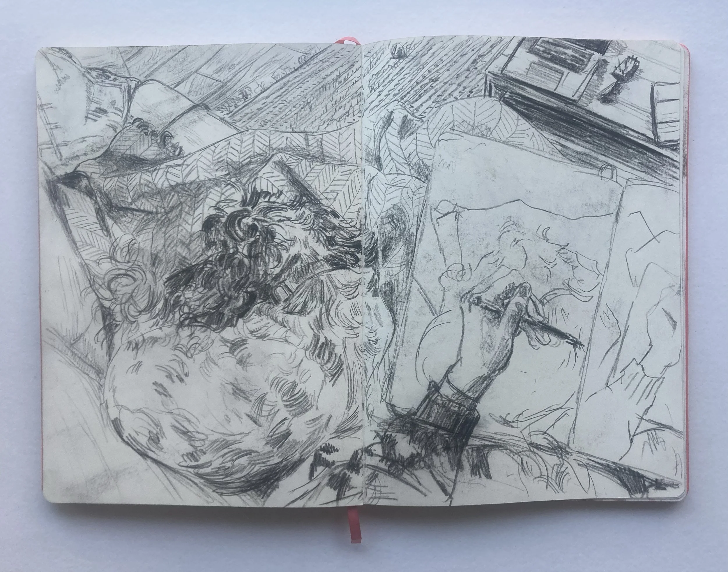 Drawing6_Sketchbook with Poppy_29x42cm.jpg