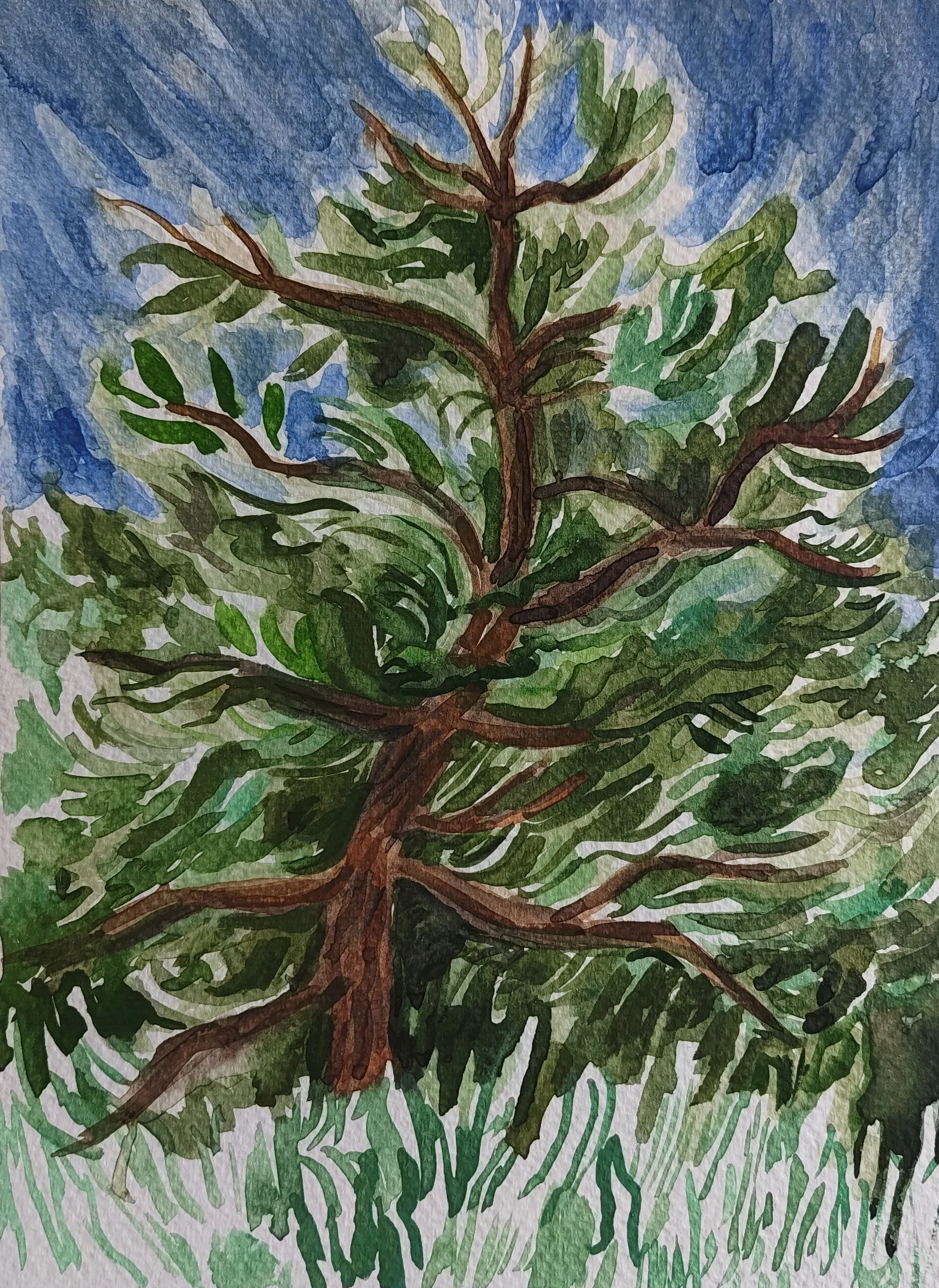 Trees